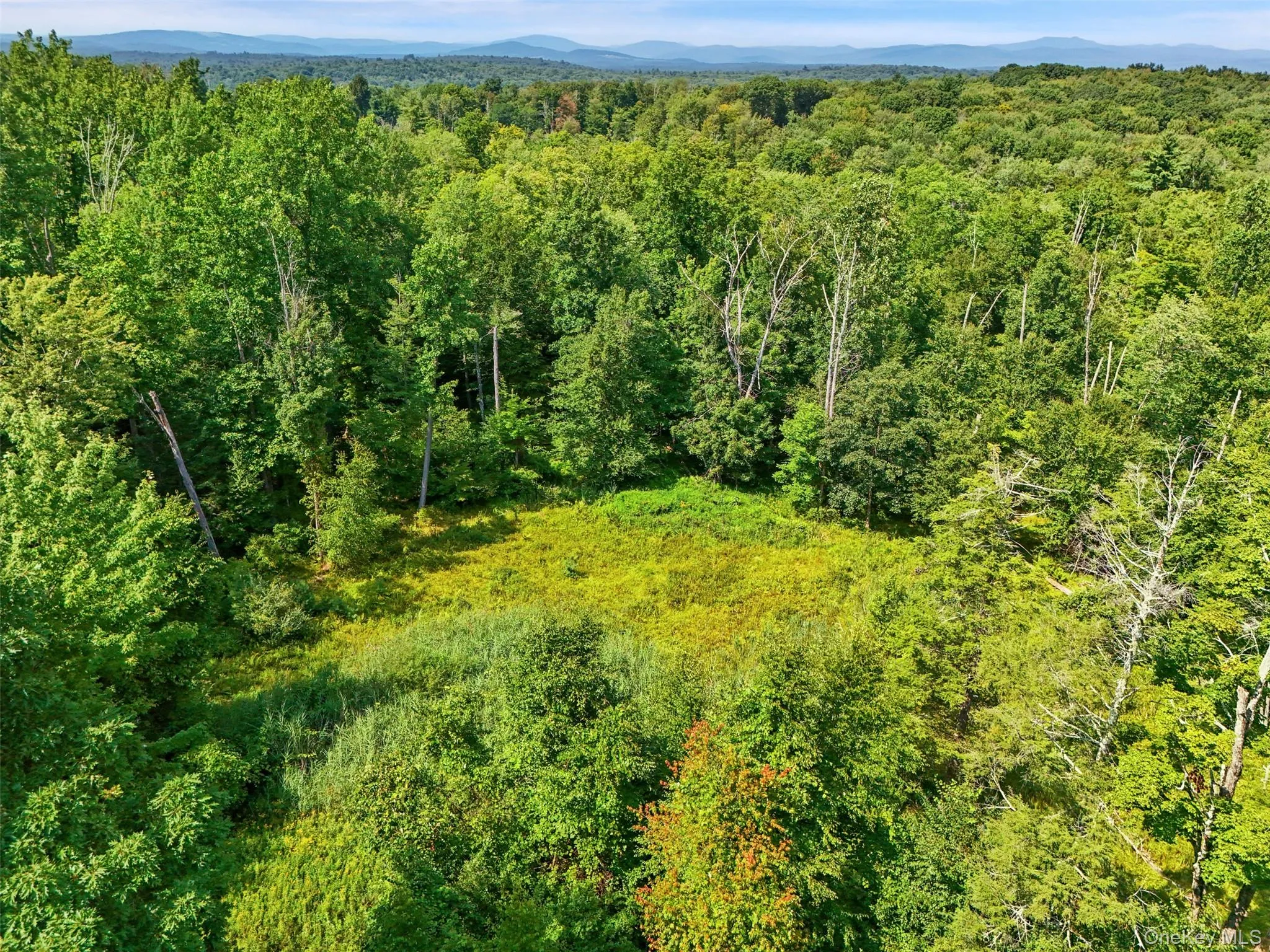 346 Oak Ridge Road, Wawarsing, NY, ,Land,For Rent,Oak Ridge,0,1037667 346 Oak Ridge Road, Wawarsing, NY, ,Land,For Rent,Oak Ridge,0,1037667