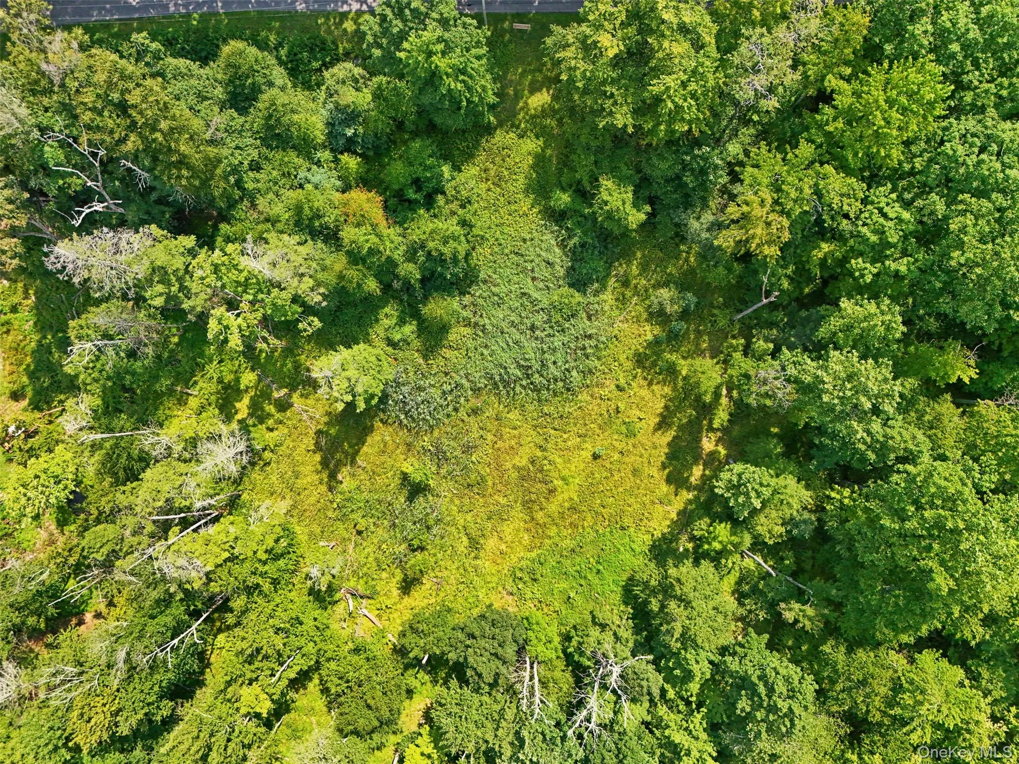 346 Oak Ridge Road, Wawarsing, NY, ,Land,For Rent,Oak Ridge,0,1037667 346 Oak Ridge Road, Wawarsing, NY, ,Land,For Rent,Oak Ridge,0,1037667