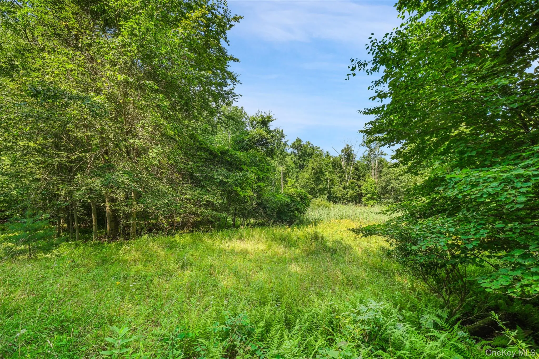 346 Oak Ridge Road, Wawarsing, NY, ,Land,For Rent,Oak Ridge,0,1037667 346 Oak Ridge Road, Wawarsing, NY, ,Land,For Rent,Oak Ridge,0,1037667