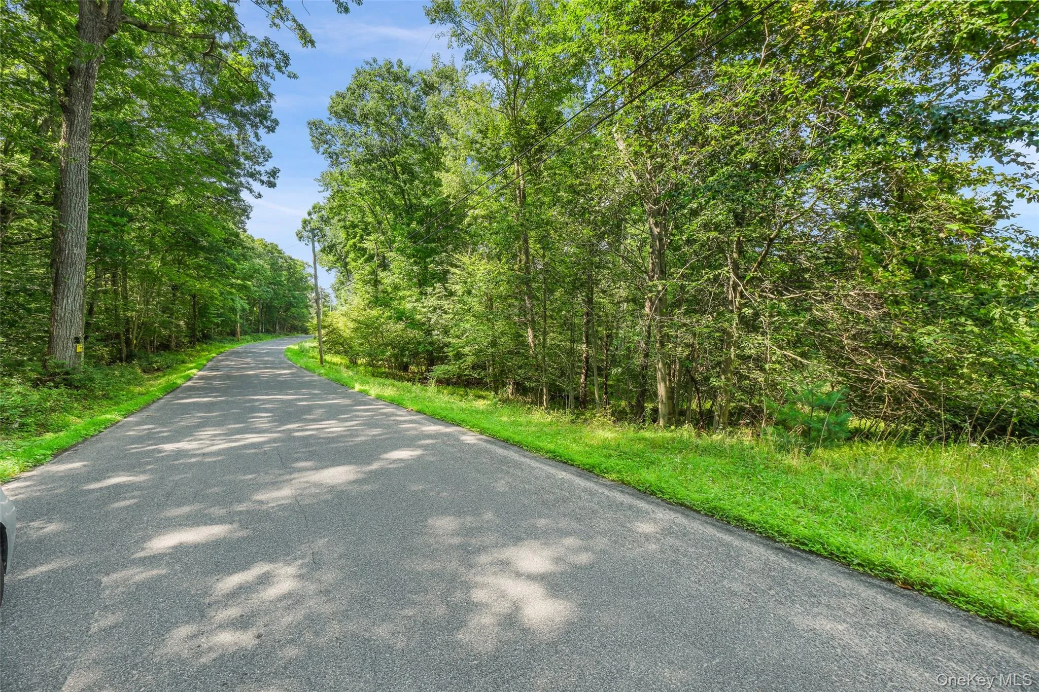 346 Oak Ridge Road, Wawarsing, NY, ,Land,For Rent,Oak Ridge,0,1037667 346 Oak Ridge Road, Wawarsing, NY, ,Land,For Rent,Oak Ridge,0,1037667