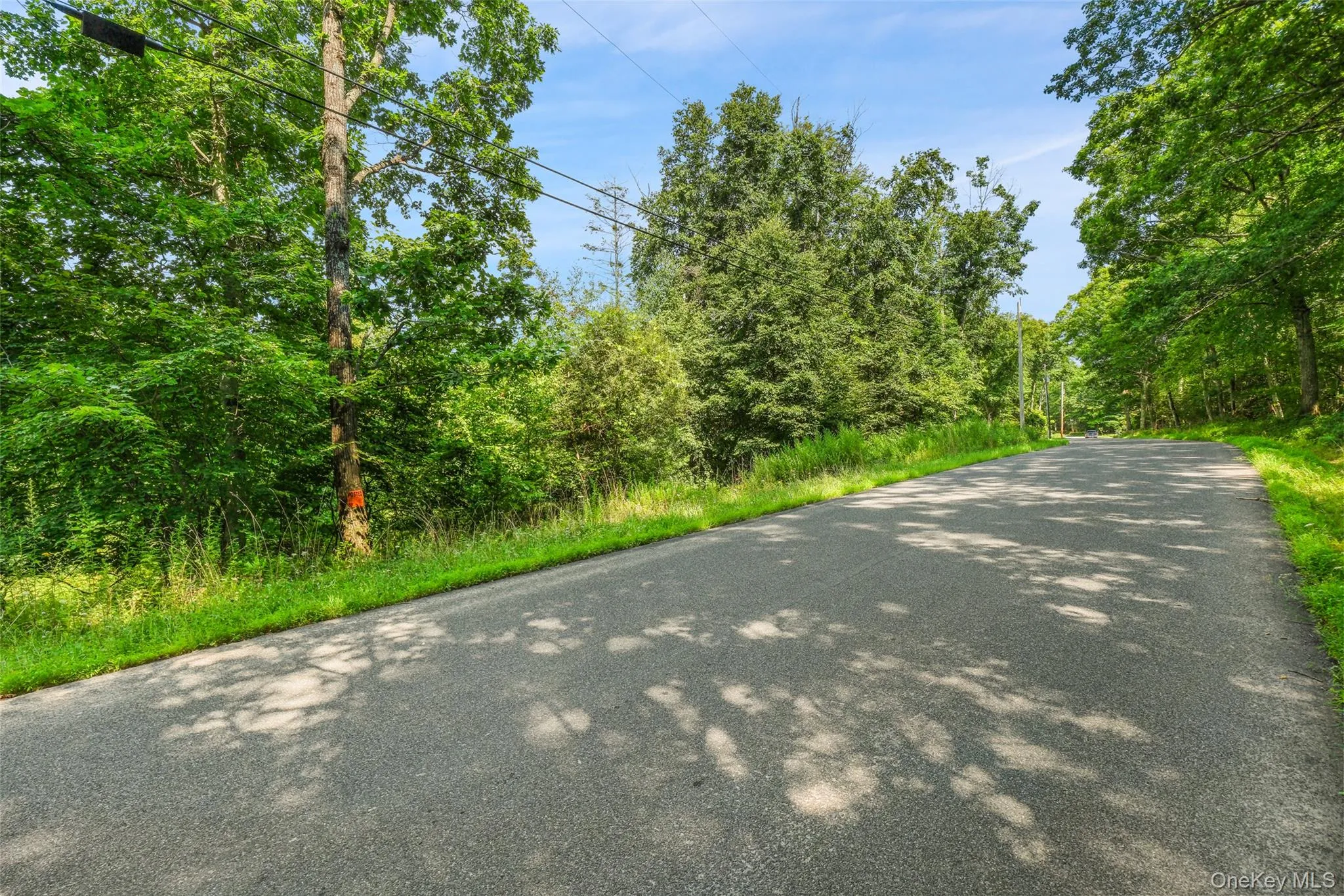 346 Oak Ridge Road, Wawarsing, NY, ,Land,For Rent,Oak Ridge,0,1037667 346 Oak Ridge Road, Wawarsing, NY, ,Land,For Rent,Oak Ridge,0,1037667
