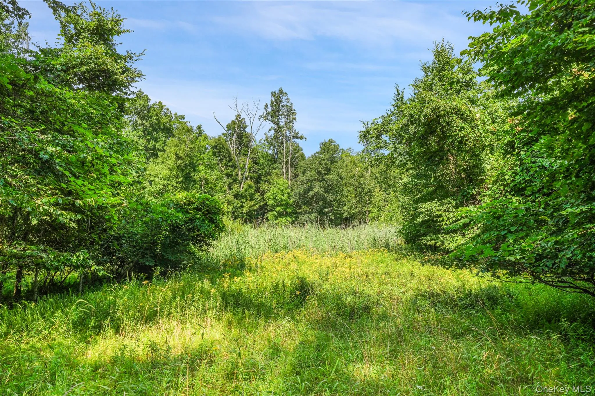 346 Oak Ridge Road, Wawarsing, NY, ,Land,For Rent,Oak Ridge,0,1037667 346 Oak Ridge Road, Wawarsing, NY, ,Land,For Rent,Oak Ridge,0,1037667