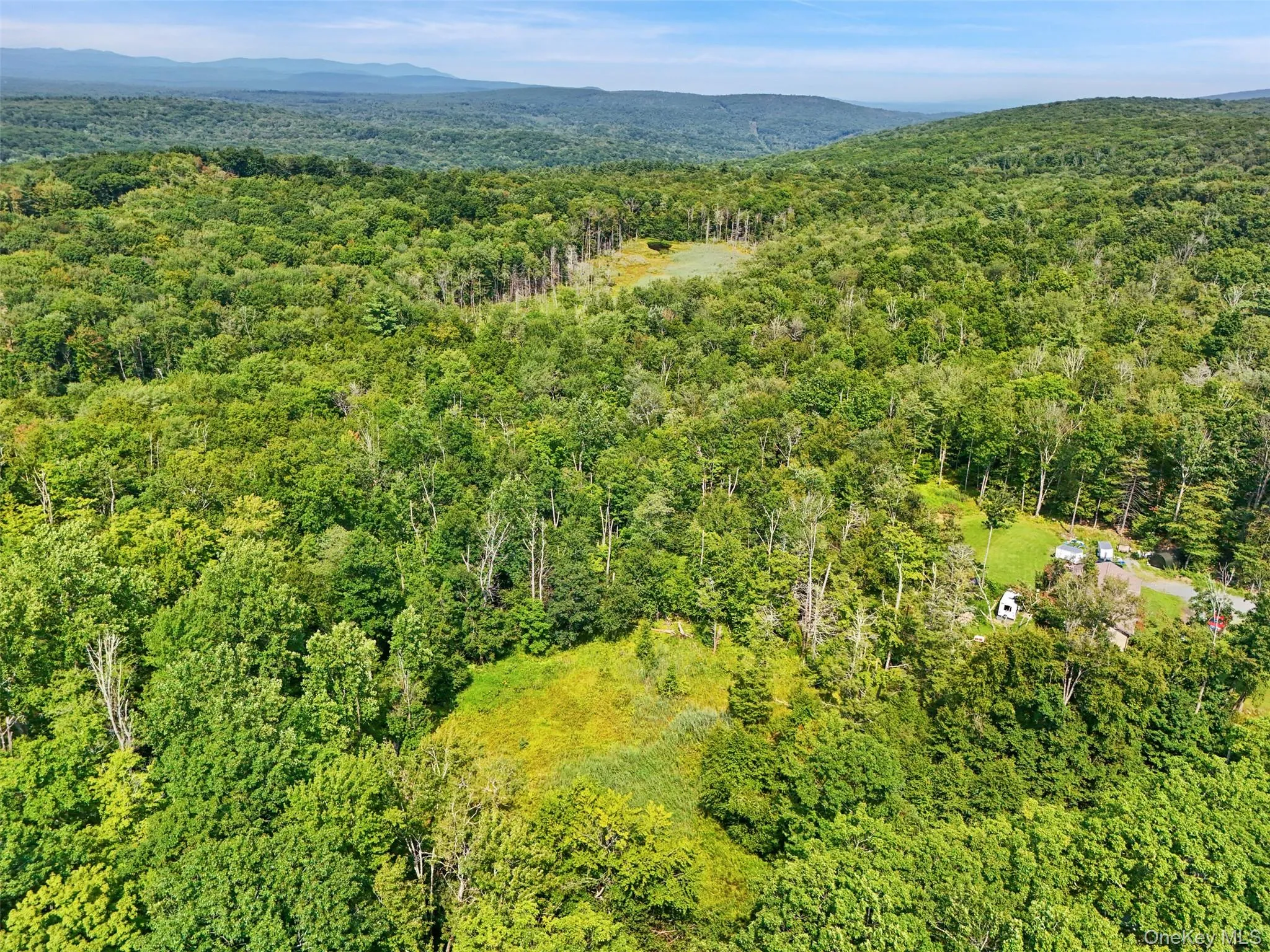 346 Oak Ridge Road, Wawarsing, NY, ,Land,For Rent,Oak Ridge,0,1037667 346 Oak Ridge Road, Wawarsing, NY, ,Land,For Rent,Oak Ridge,0,1037667