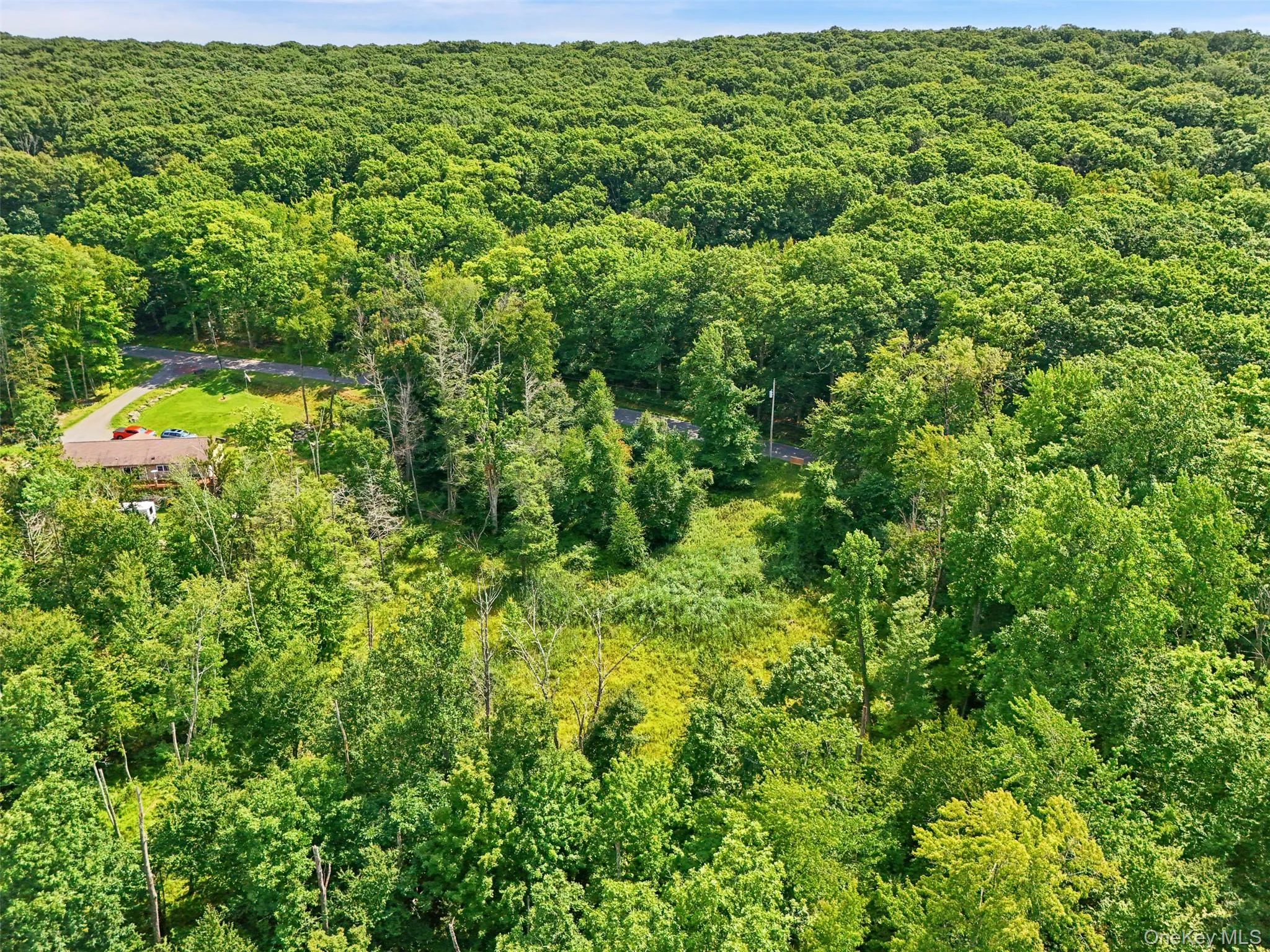 346 Oak Ridge Road, Wawarsing, NY, ,Land,For Rent,Oak Ridge,0,1037667 346 Oak Ridge Road, Wawarsing, NY, ,Land,For Rent,Oak Ridge,0,1037667