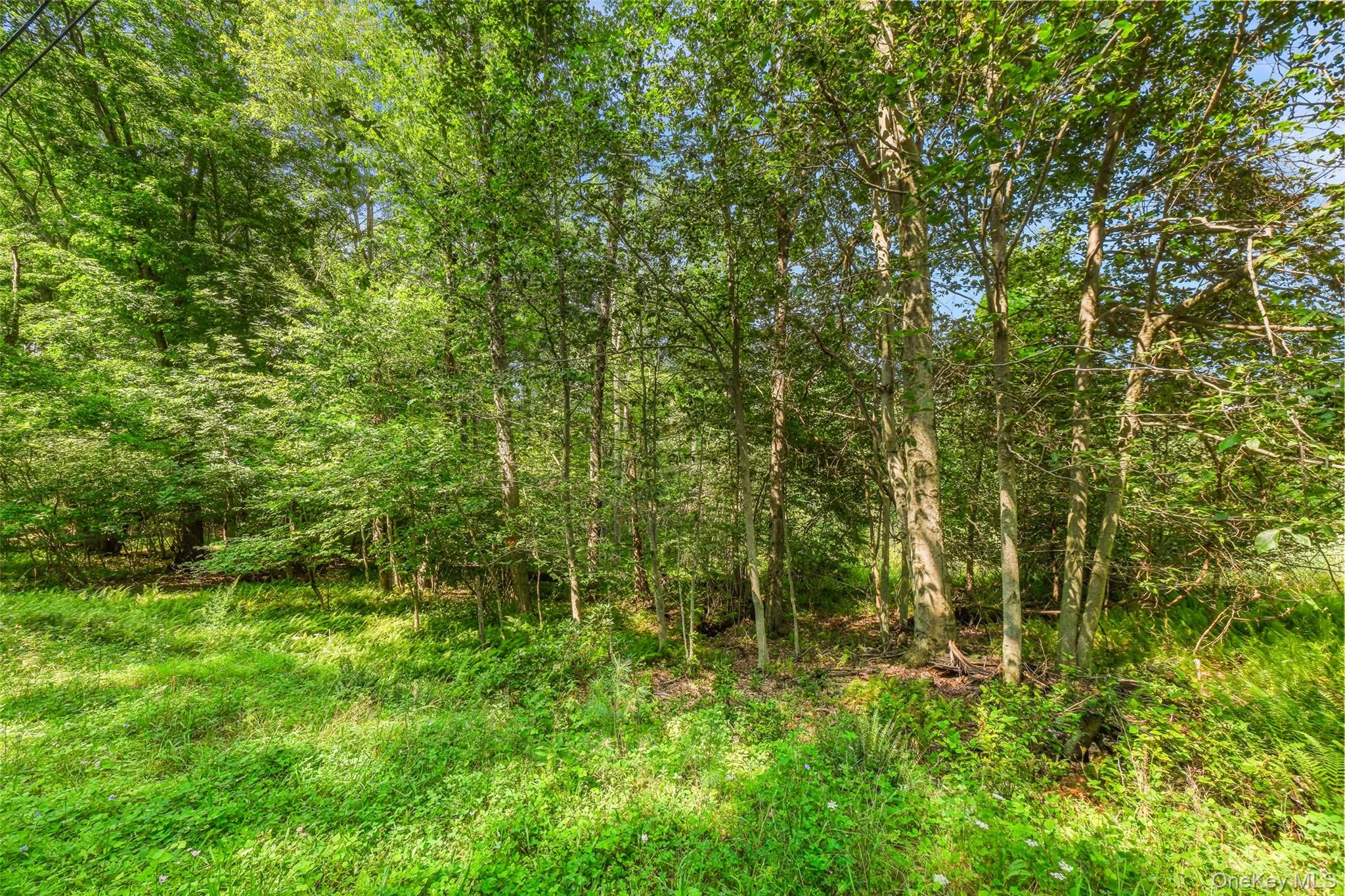 346 Oak Ridge Road, Wawarsing, NY, ,Land,For Rent,Oak Ridge,0,1037667 346 Oak Ridge Road, Wawarsing, NY, ,Land,For Rent,Oak Ridge,0,1037667