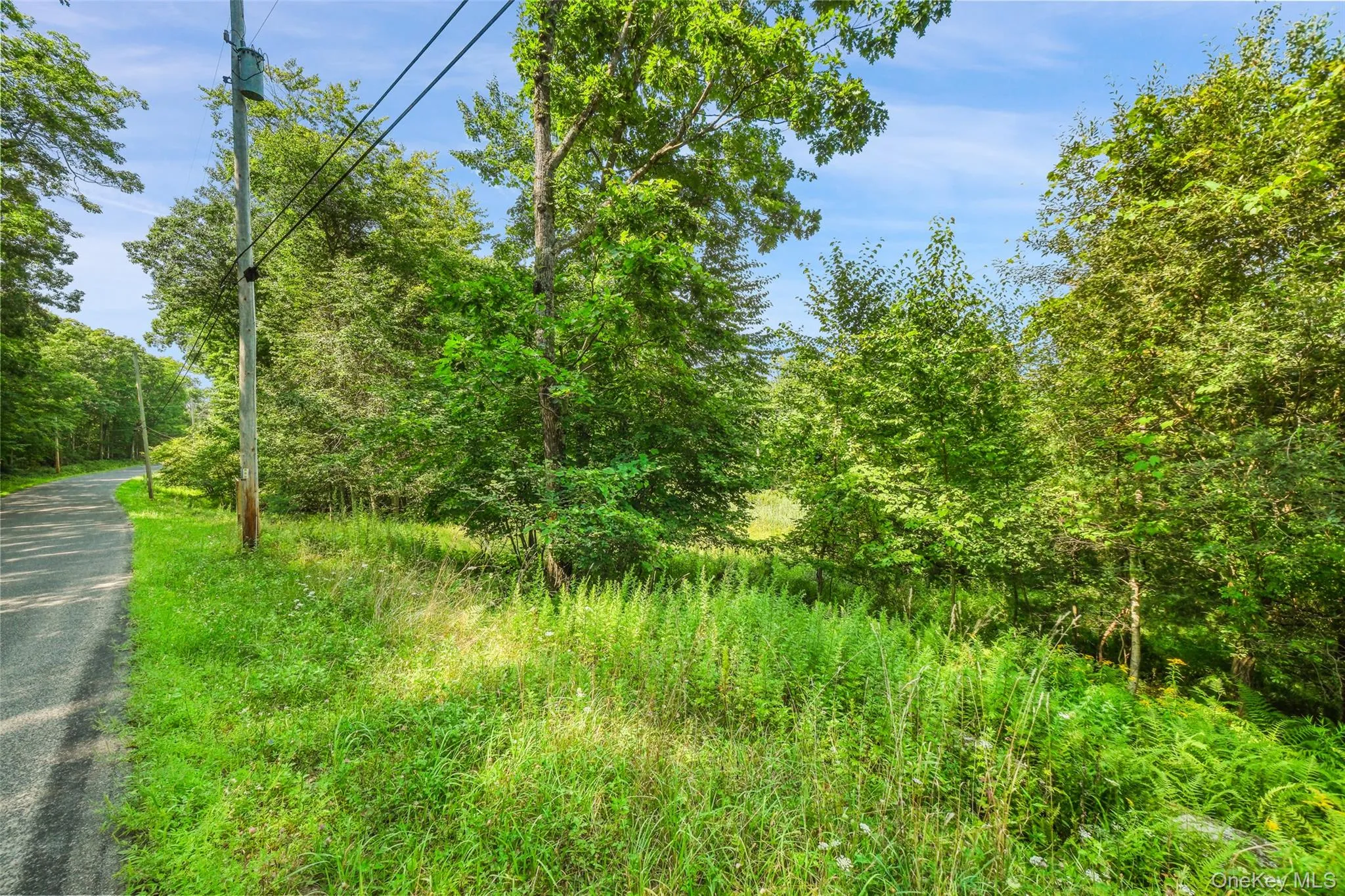 346 Oak Ridge Road, Wawarsing, NY, ,Land,For Rent,Oak Ridge,0,1037667 346 Oak Ridge Road, Wawarsing, NY, ,Land,For Rent,Oak Ridge,0,1037667