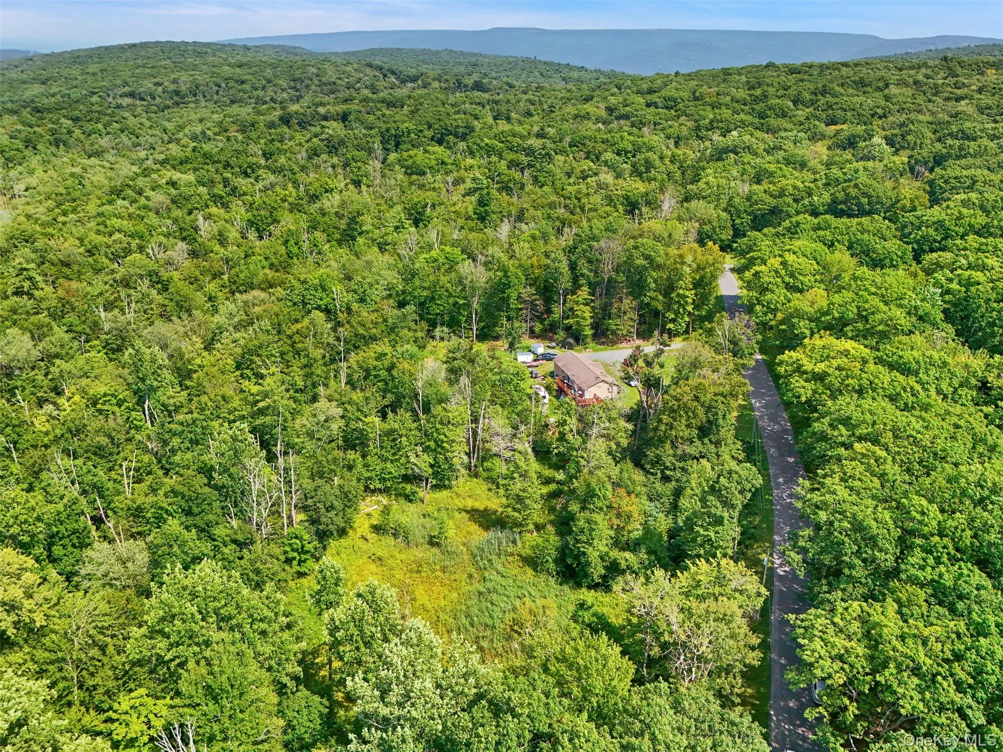 346 Oak Ridge Road, Wawarsing, NY, ,Land,For Rent,Oak Ridge,0,1037667 346 Oak Ridge Road, Wawarsing, NY, ,Land,For Rent,Oak Ridge,0,1037667