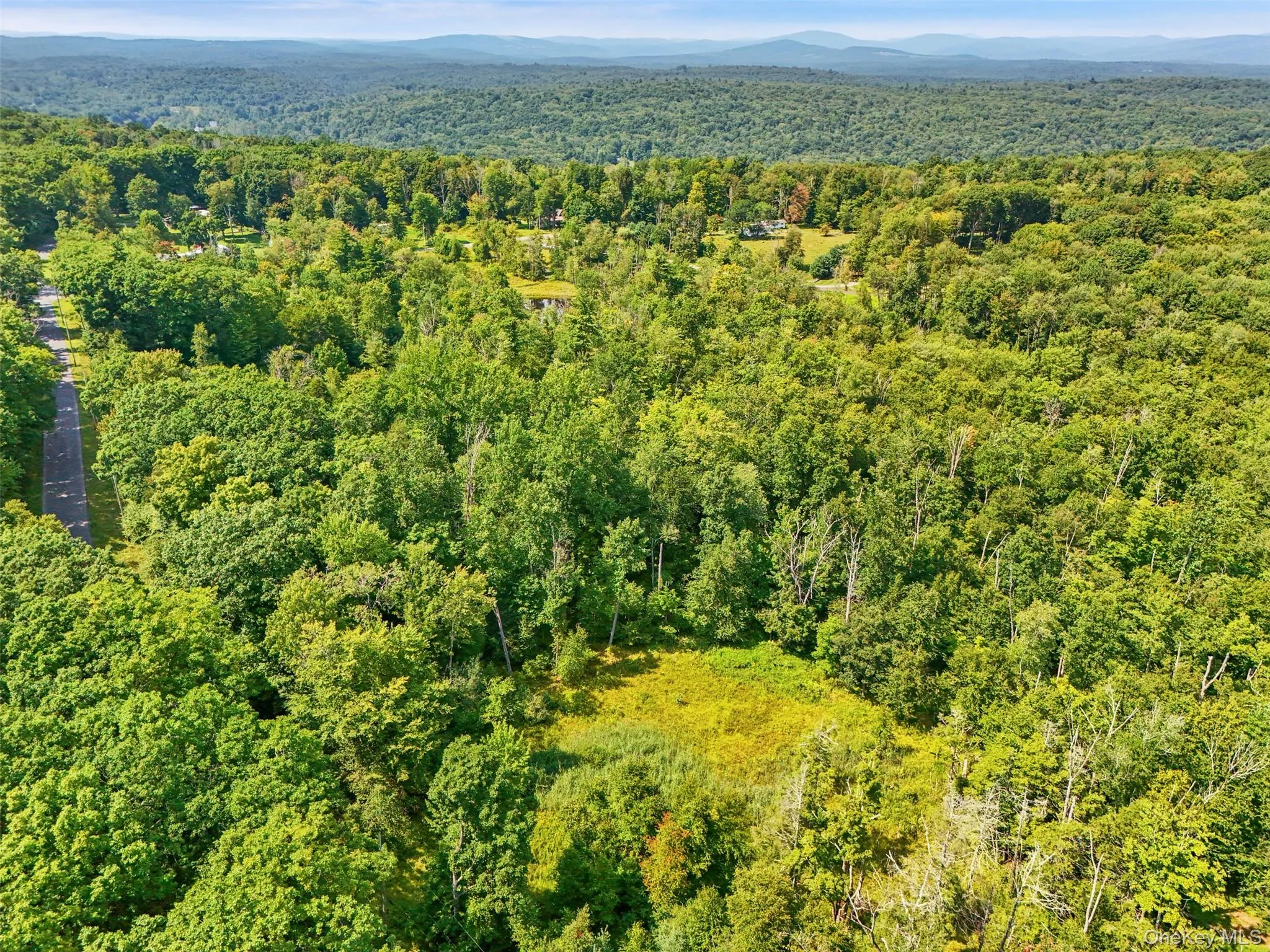346 Oak Ridge Road, Wawarsing, NY, ,Land,For Rent,Oak Ridge,0,1037667 346 Oak Ridge Road, Wawarsing, NY, ,Land,For Rent,Oak Ridge,0,1037667