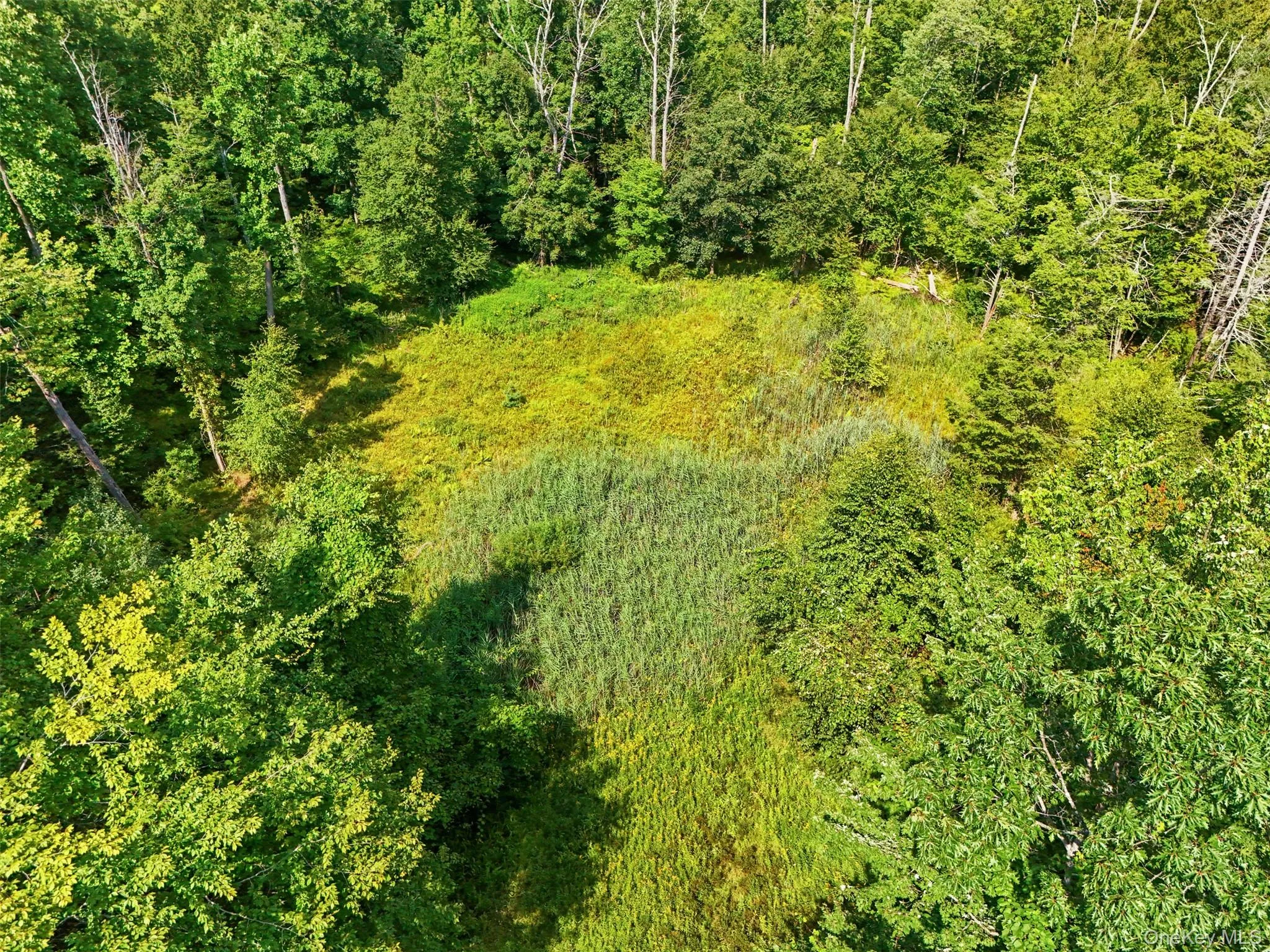 346 Oak Ridge Road, Wawarsing, NY, ,Land,For Rent,Oak Ridge,0,1037667 346 Oak Ridge Road, Wawarsing, NY, ,Land,For Rent,Oak Ridge,0,1037667