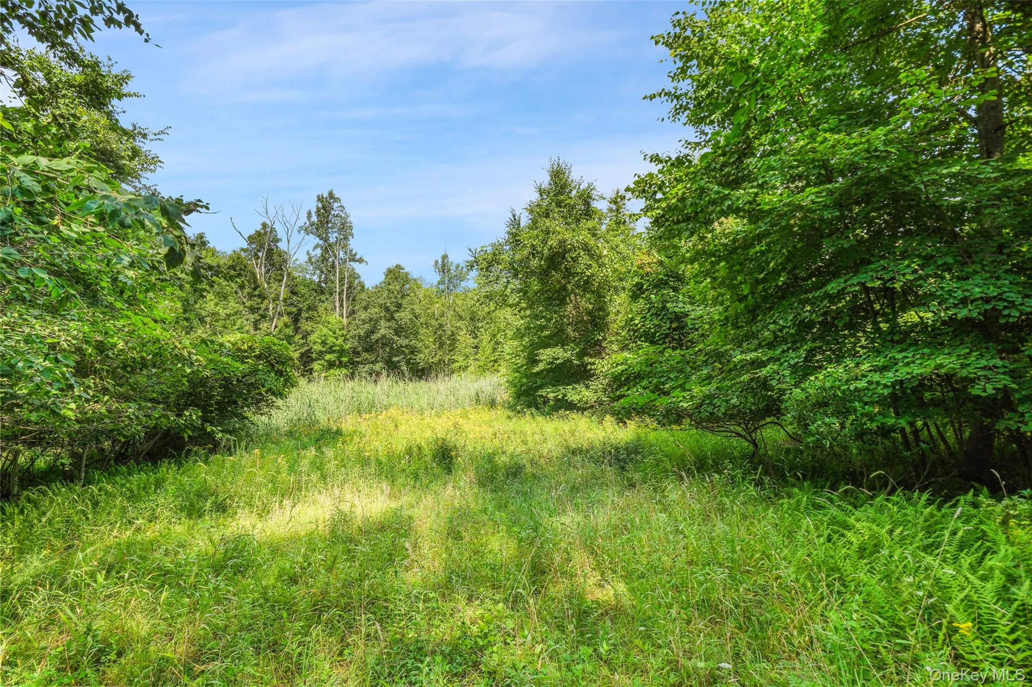 346 Oak Ridge Road, Wawarsing, NY, ,Land,For Rent,Oak Ridge,0,1037667 346 Oak Ridge Road, Wawarsing, NY, ,Land,For Rent,Oak Ridge,0,1037667