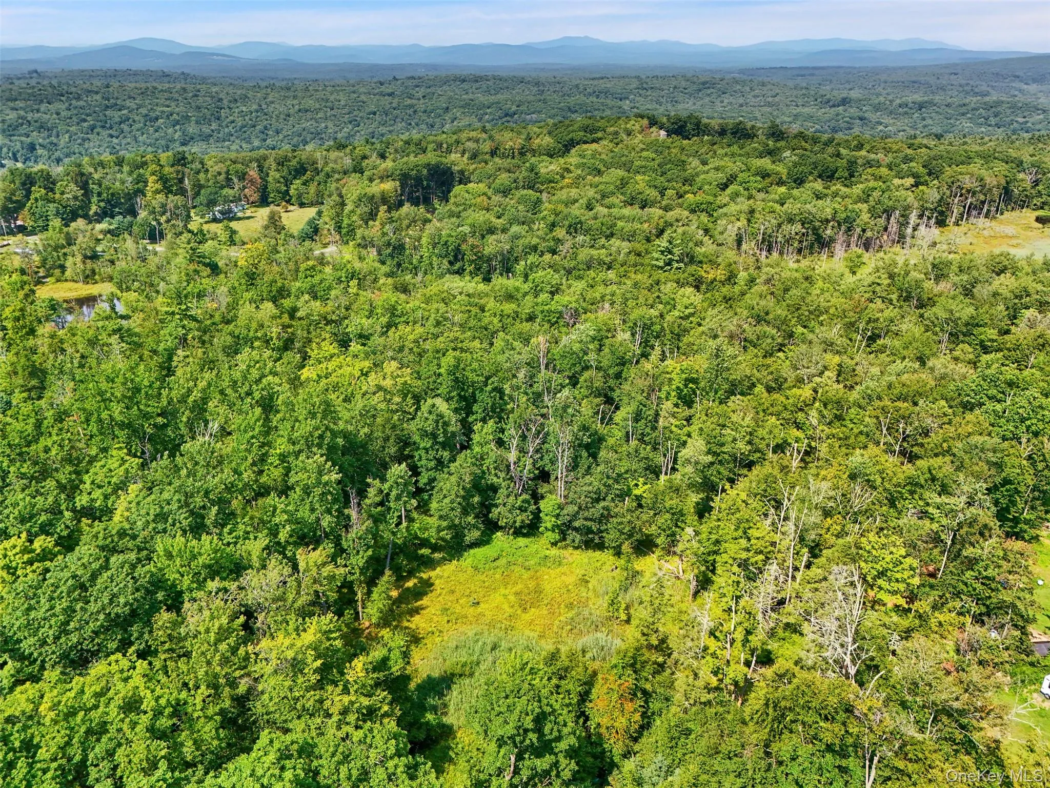 346 Oak Ridge Road, Wawarsing, NY, ,Land,For Rent,Oak Ridge,0,1037667 346 Oak Ridge Road, Wawarsing, NY, ,Land,For Rent,Oak Ridge,0,1037667