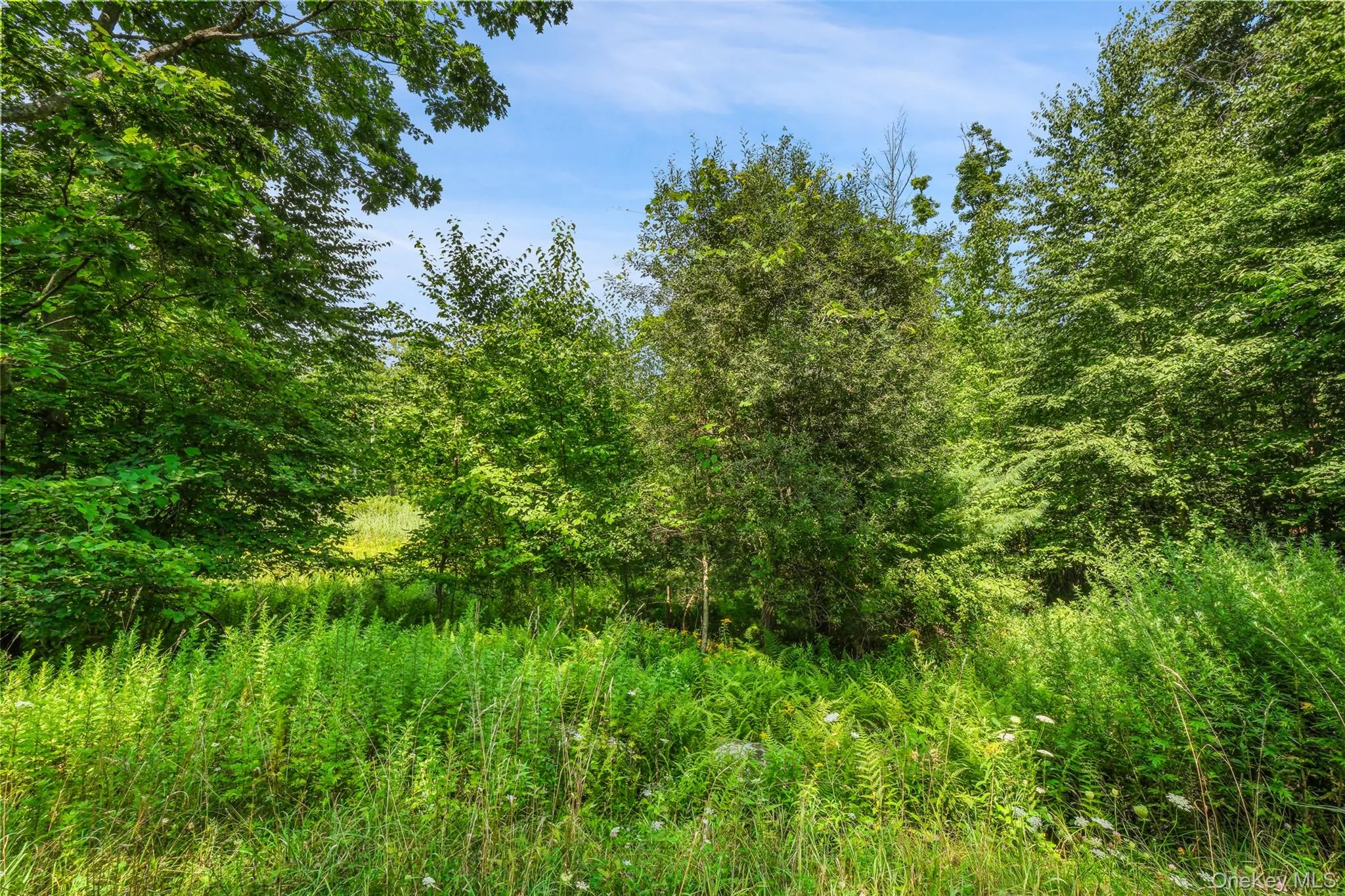 346 Oak Ridge Road, Wawarsing, NY, ,Land,For Rent,Oak Ridge,0,1037667 346 Oak Ridge Road, Wawarsing, NY, ,Land,For Rent,Oak Ridge,0,1037667