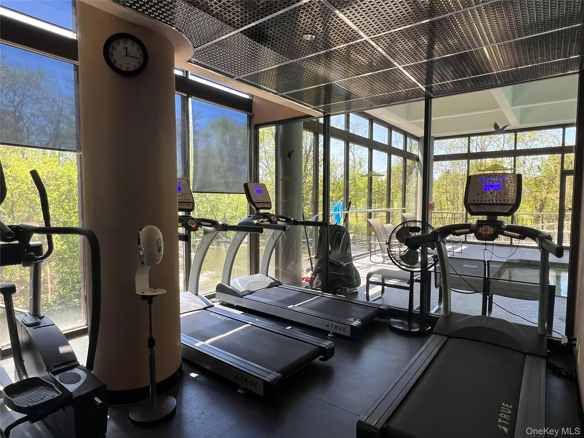 Gym Gym