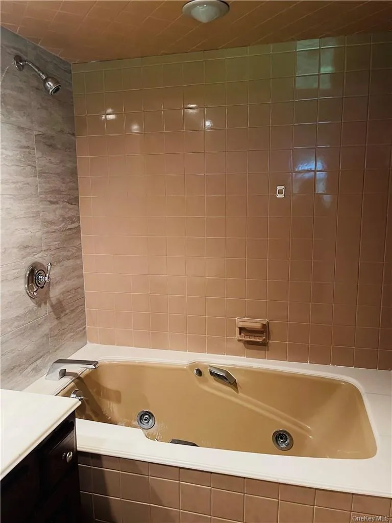 Lower level full bath Lower level full bath