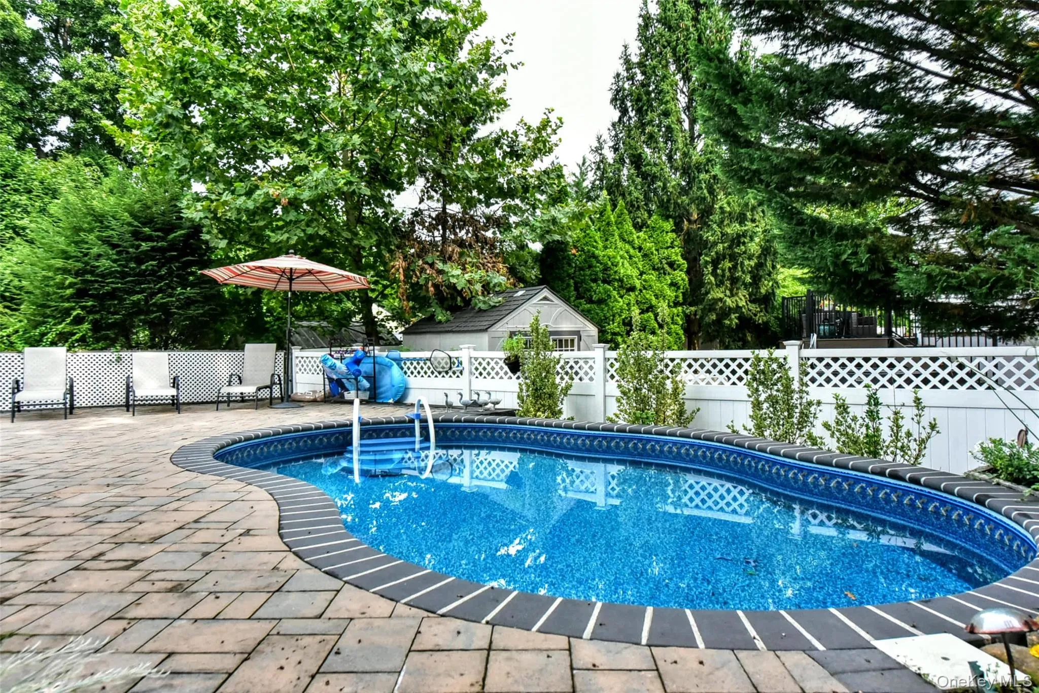 Summer fun! Summer fun!