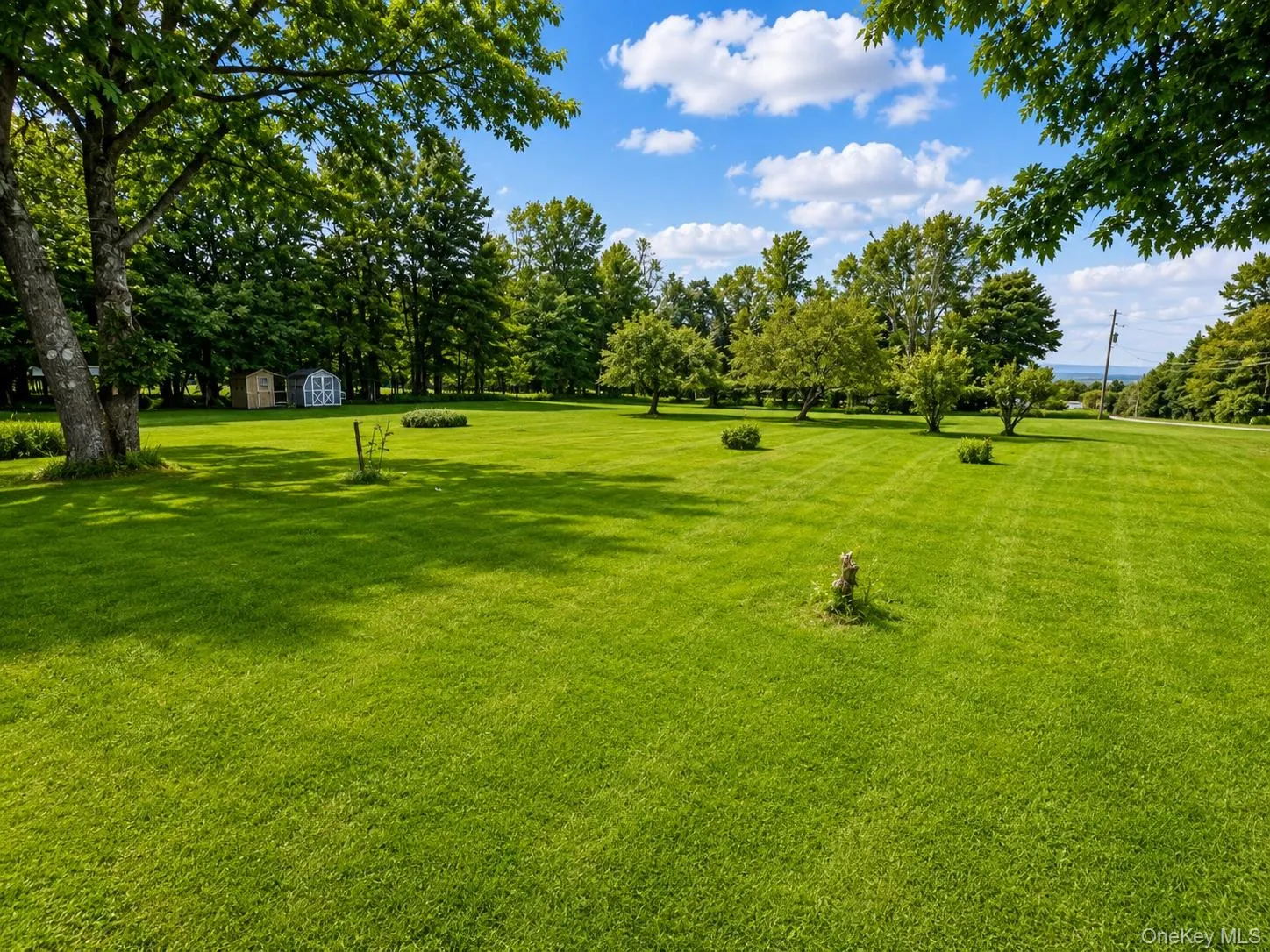 7 Bowers Drive, Fallsburg, NY, 3 Bedrooms Bedrooms, 8 Rooms Rooms,2 BathroomsBathrooms,Residential,For Rent,Bowers,0,1037729 7 Bowers Drive, Fallsburg, NY, 3 Bedrooms Bedrooms, 8 Rooms Rooms,2 BathroomsBathrooms,Residential,For Rent,Bowers,0,1037729