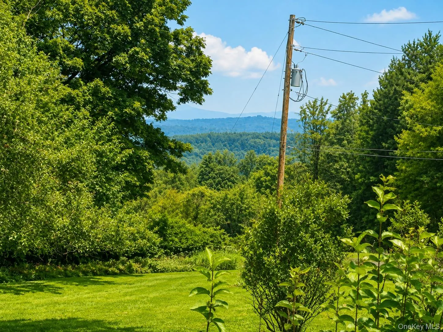7 Bowers Drive, Fallsburg, NY, 3 Bedrooms Bedrooms, 8 Rooms Rooms,2 BathroomsBathrooms,Residential,For Rent,Bowers,0,1037729 7 Bowers Drive, Fallsburg, NY, 3 Bedrooms Bedrooms, 8 Rooms Rooms,2 BathroomsBathrooms,Residential,For Rent,Bowers,0,1037729