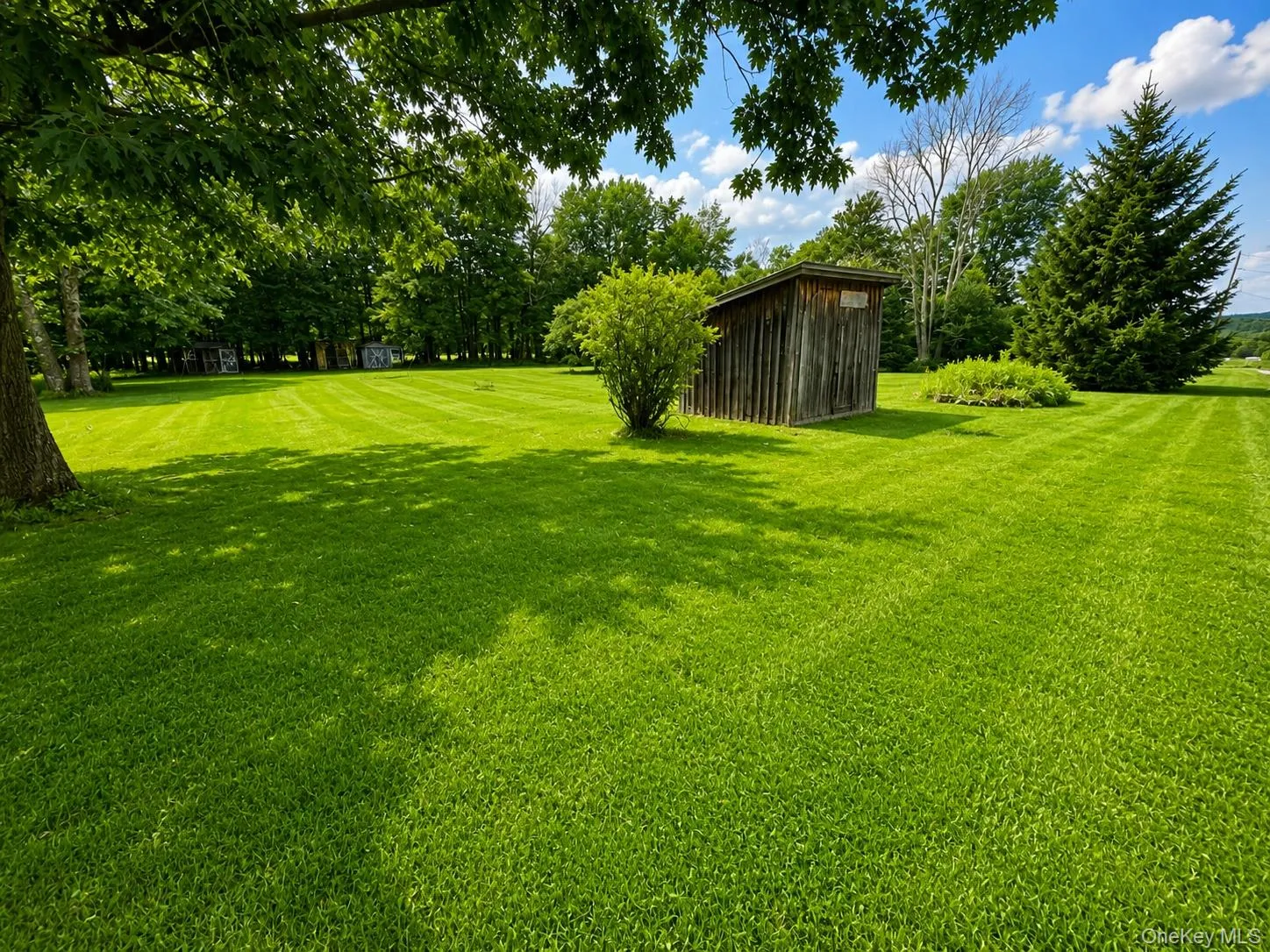 7 Bowers Drive, Fallsburg, NY, 3 Bedrooms Bedrooms, 8 Rooms Rooms,2 BathroomsBathrooms,Residential,For Rent,Bowers,0,1037729 7 Bowers Drive, Fallsburg, NY, 3 Bedrooms Bedrooms, 8 Rooms Rooms,2 BathroomsBathrooms,Residential,For Rent,Bowers,0,1037729