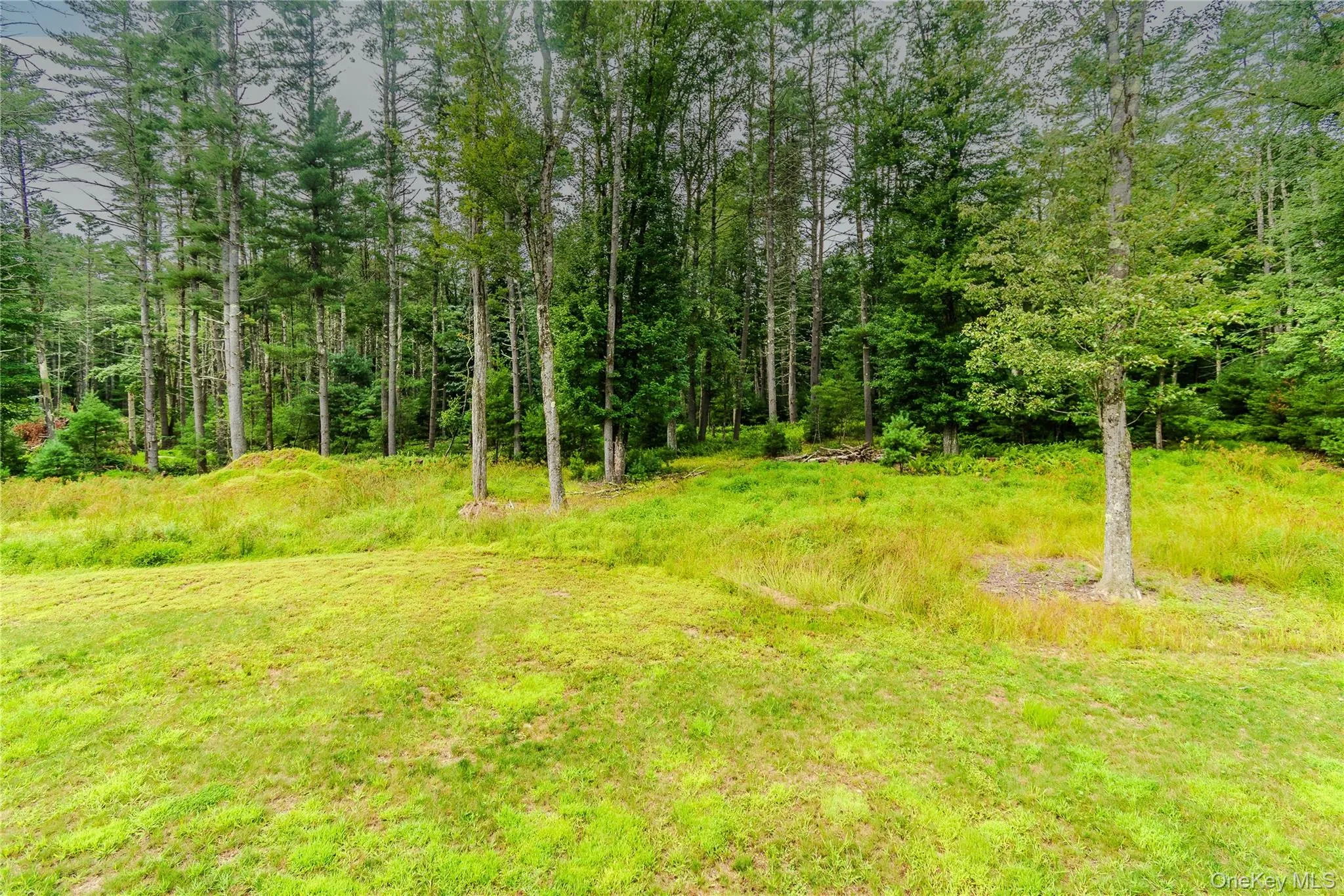 26 Summit Drive, Highland, NY, 3 Bedrooms Bedrooms, 7 Rooms Rooms,3 BathroomsBathrooms,Residential,For Rent,Summit,0,1037742 26 Summit Drive, Highland, NY, 3 Bedrooms Bedrooms, 7 Rooms Rooms,3 BathroomsBathrooms,Residential,For Rent,Summit,0,1037742