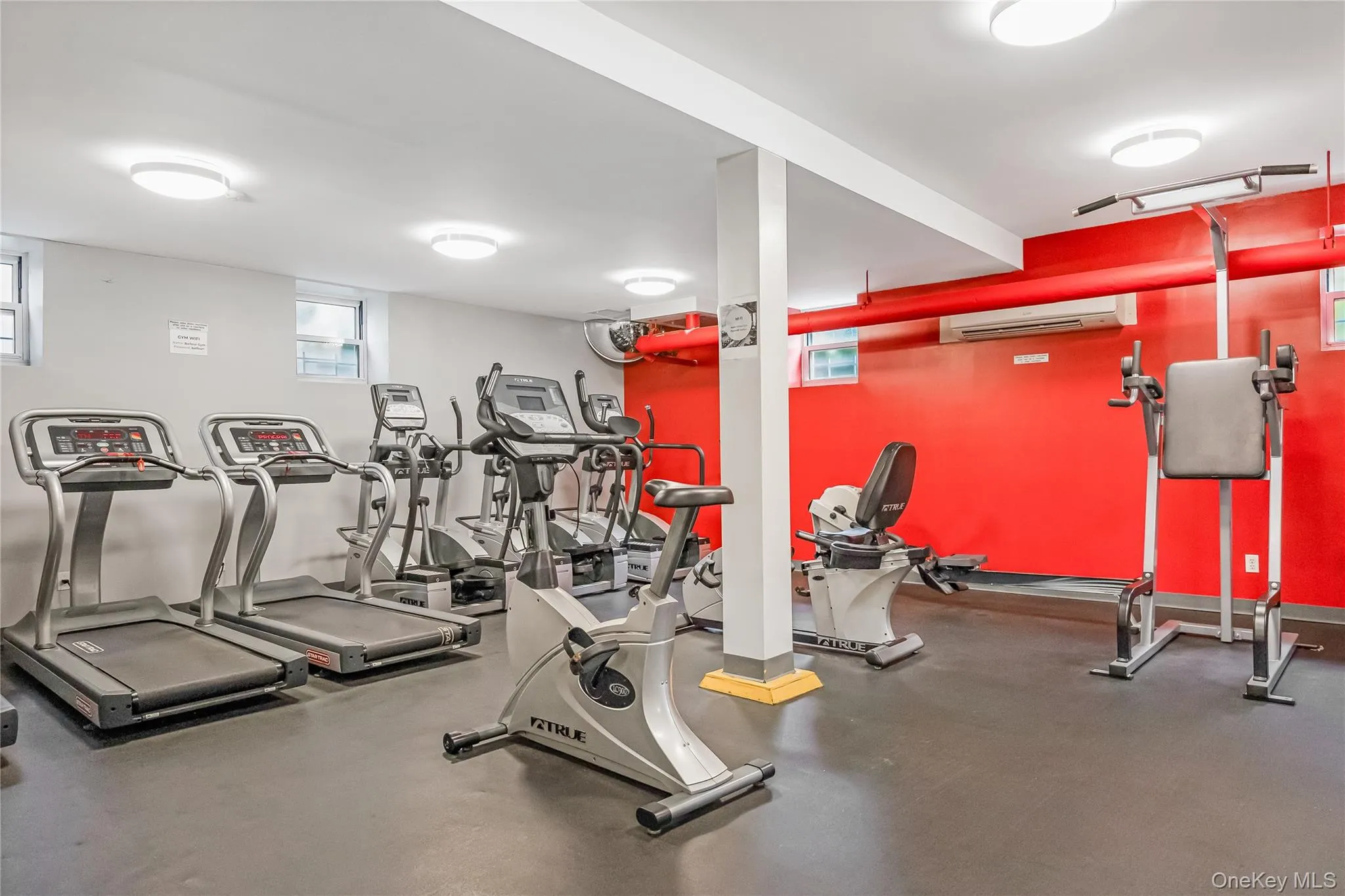 112-20 72nd DRIVE, New York, NY, 1 Bedroom Bedrooms, 4 Rooms Rooms,1 BathroomBathrooms,Residential,For Rent,72nd DRIVE,0,1037749 112-20 72nd DRIVE, New York, NY, 1 Bedroom Bedrooms, 4 Rooms Rooms,1 BathroomBathrooms,Residential,For Rent,72nd DRIVE,0,1037749