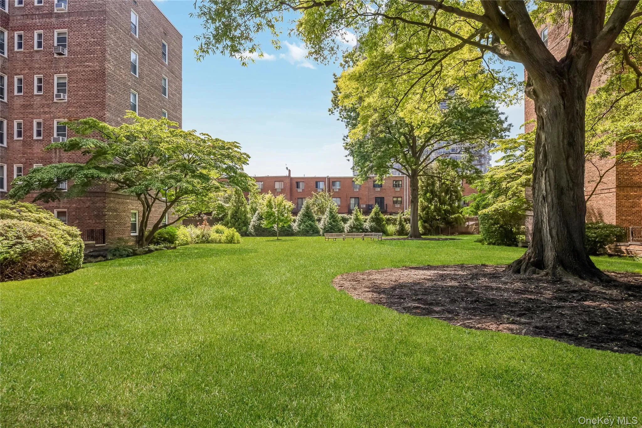 112-20 72nd DRIVE, New York, NY, 1 Bedroom Bedrooms, 4 Rooms Rooms,1 BathroomBathrooms,Residential,For Rent,72nd DRIVE,0,1037749 112-20 72nd DRIVE, New York, NY, 1 Bedroom Bedrooms, 4 Rooms Rooms,1 BathroomBathrooms,Residential,For Rent,72nd DRIVE,0,1037749