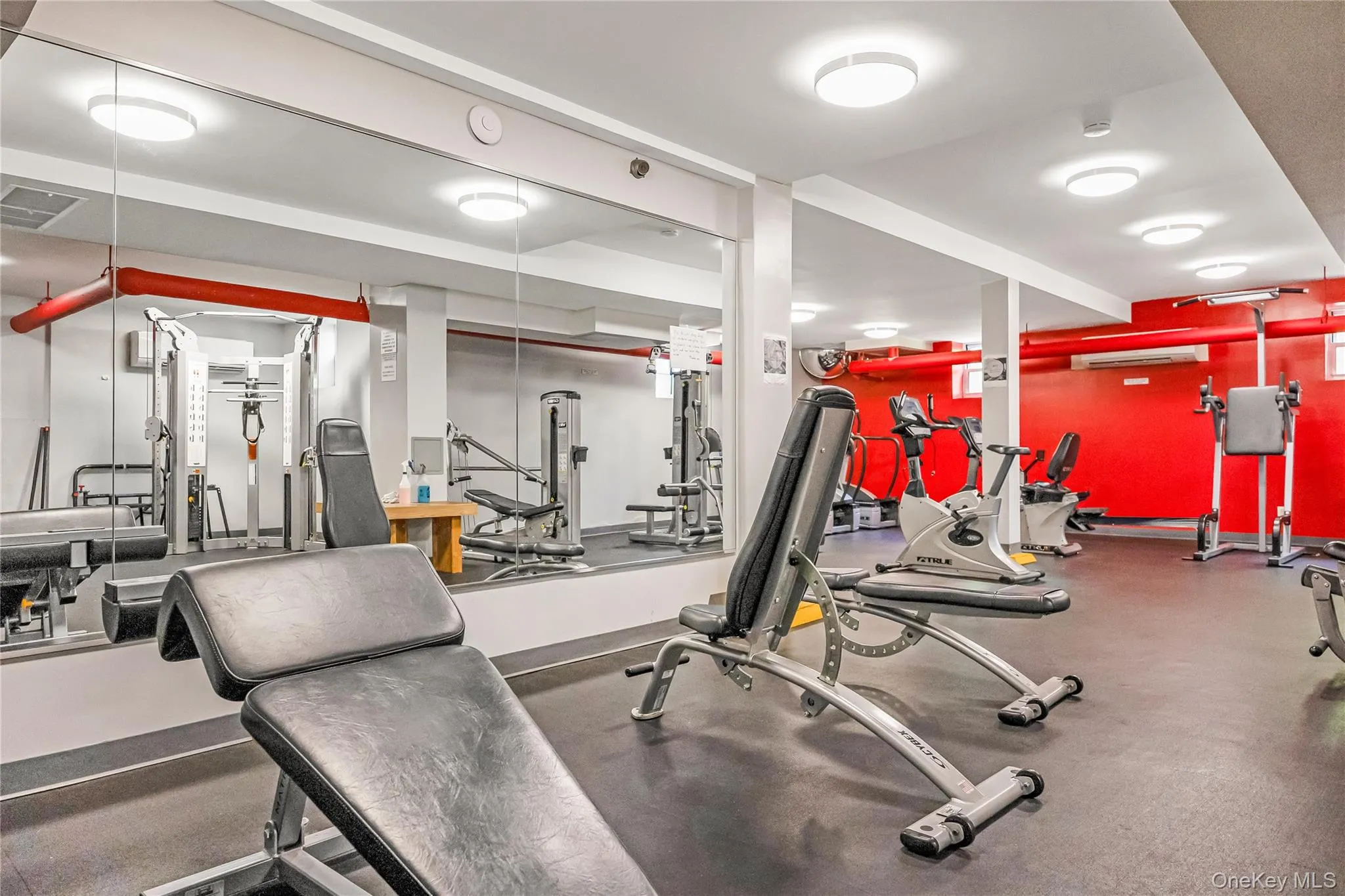 112-20 72nd DRIVE, New York, NY, 1 Bedroom Bedrooms, 4 Rooms Rooms,1 BathroomBathrooms,Residential,For Rent,72nd DRIVE,0,1037749 112-20 72nd DRIVE, New York, NY, 1 Bedroom Bedrooms, 4 Rooms Rooms,1 BathroomBathrooms,Residential,For Rent,72nd DRIVE,0,1037749