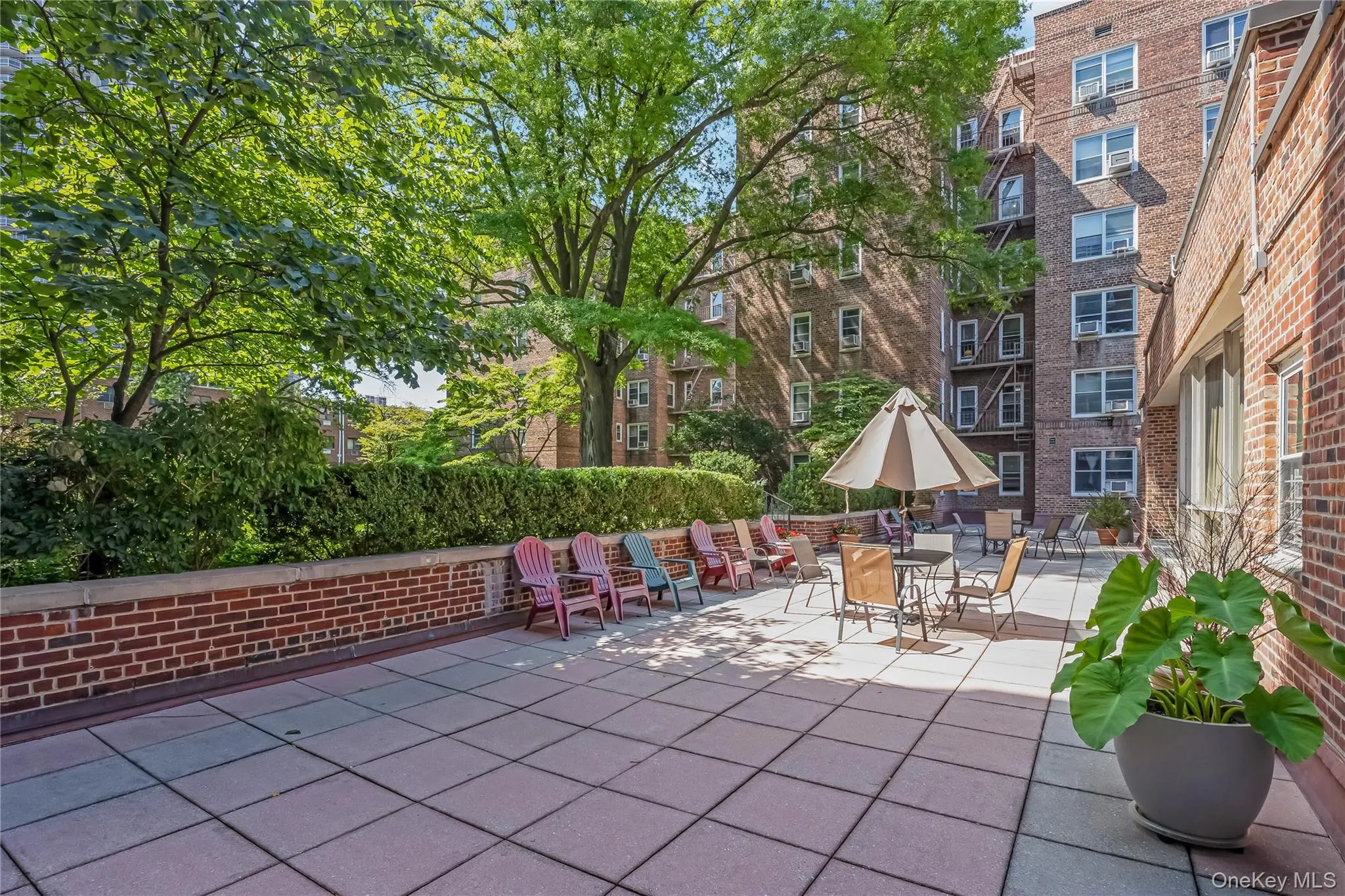112-20 72nd DRIVE, New York, NY, 1 Bedroom Bedrooms, 4 Rooms Rooms,1 BathroomBathrooms,Residential,For Rent,72nd DRIVE,0,1037749 112-20 72nd DRIVE, New York, NY, 1 Bedroom Bedrooms, 4 Rooms Rooms,1 BathroomBathrooms,Residential,For Rent,72nd DRIVE,0,1037749