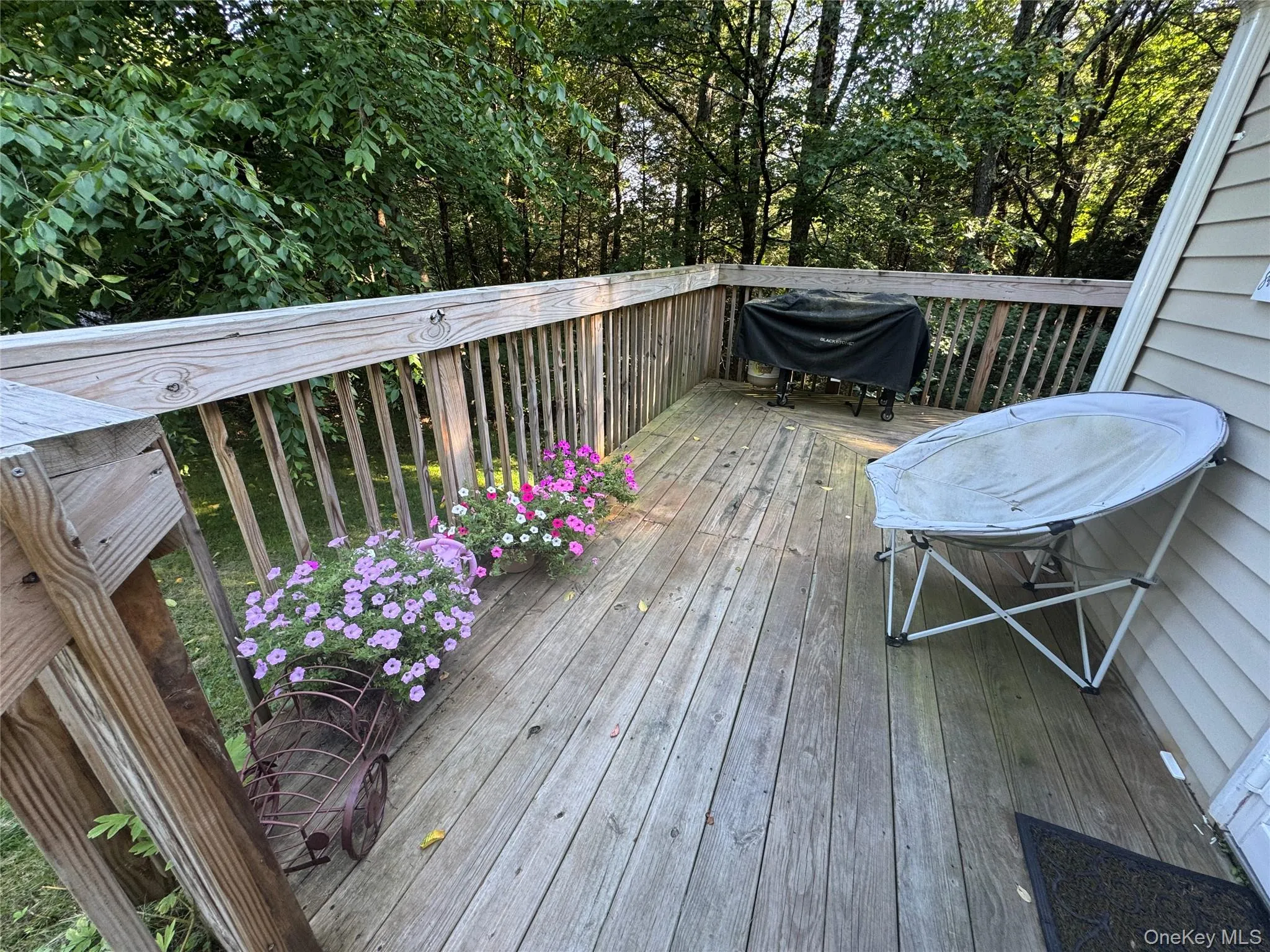Wood deck with natural wood railing and privacy landscaping Wood deck with natural wood railing and privacy landscaping