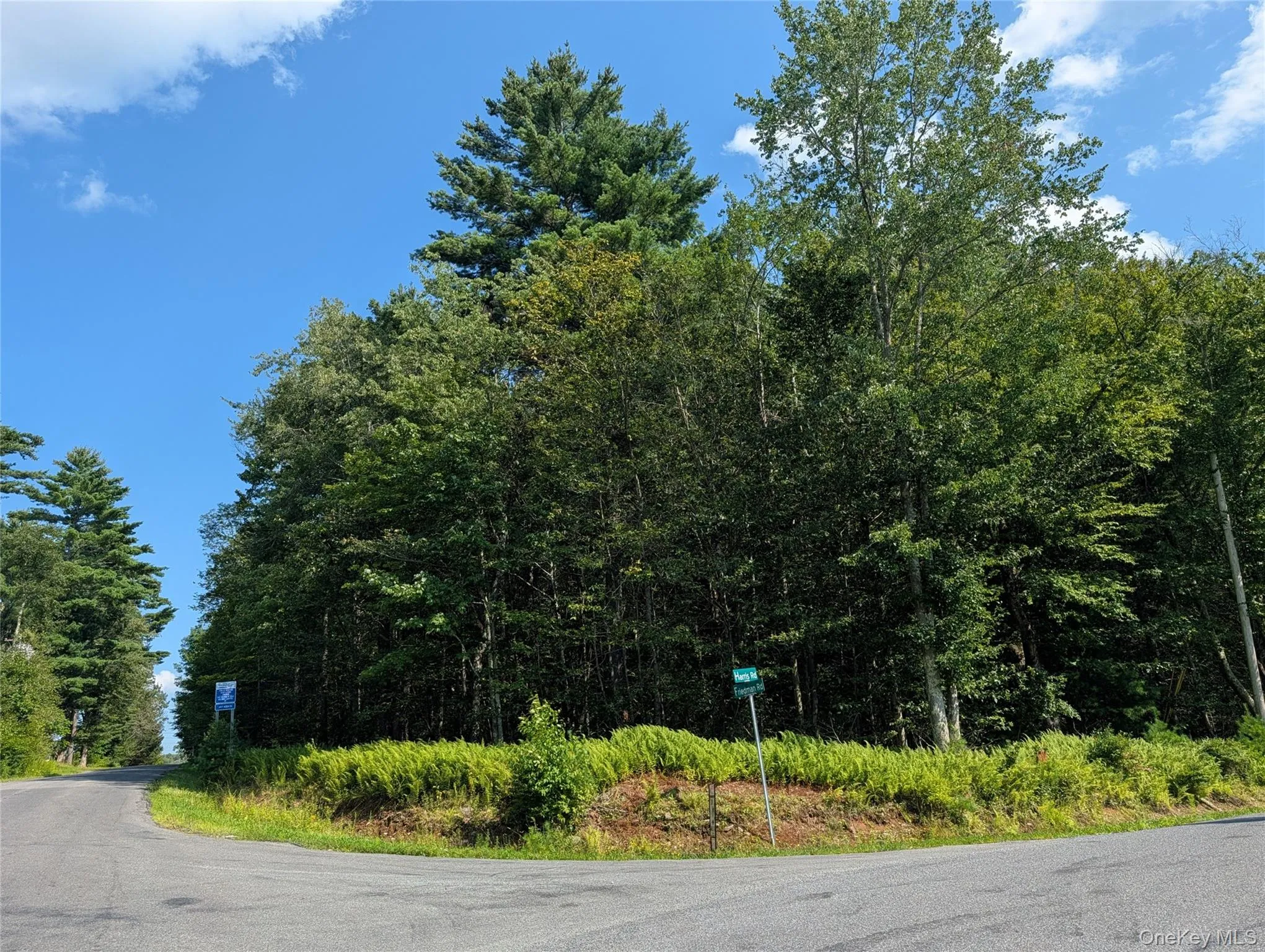 Harris Road, Thompson, NY, ,Land,For Rent,Harris,0,1037755 Harris Road, Thompson, NY, ,Land,For Rent,Harris,0,1037755