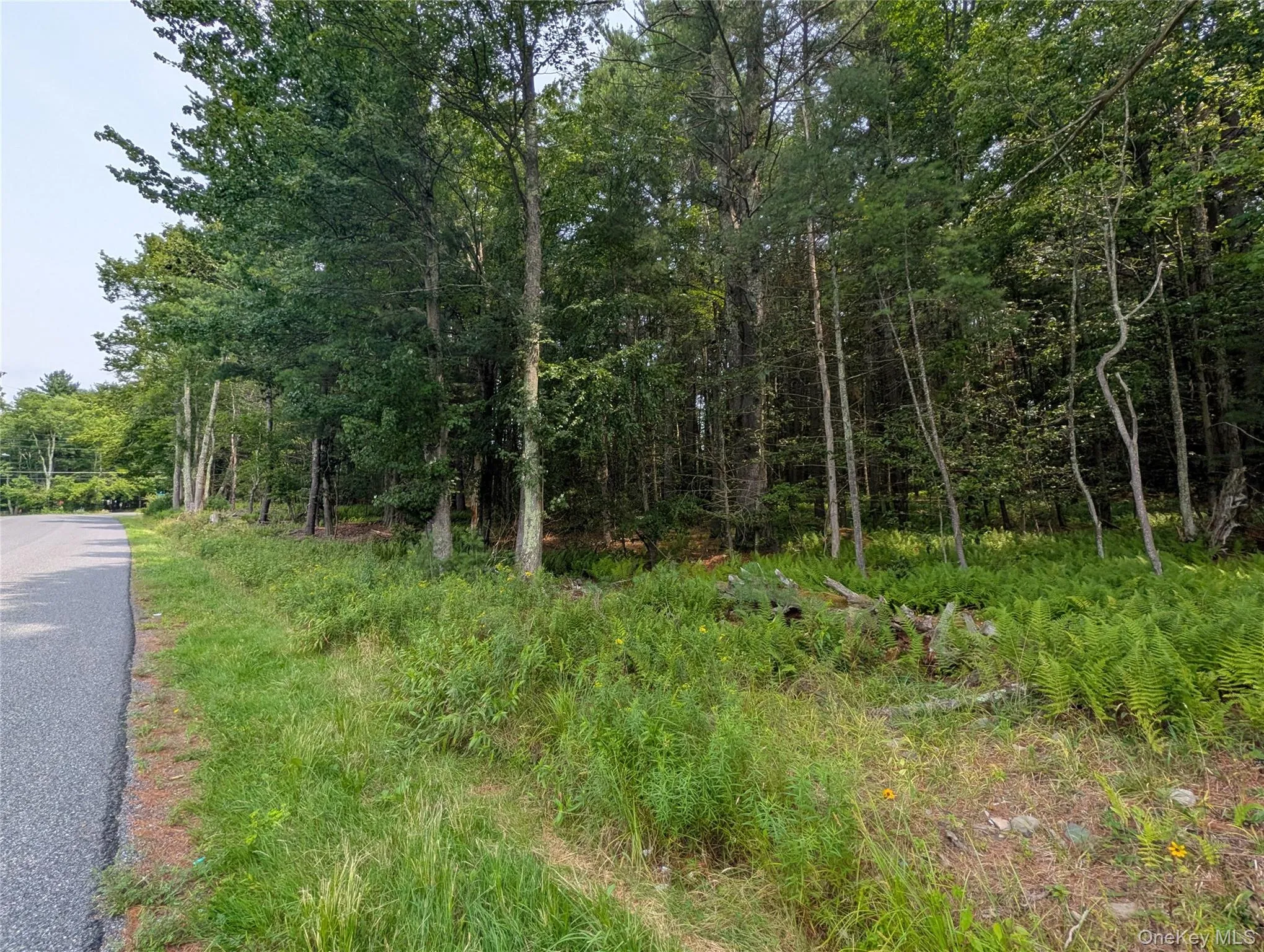 Harris Road, Thompson, NY, ,Land,For Rent,Harris,0,1037755 Harris Road, Thompson, NY, ,Land,For Rent,Harris,0,1037755