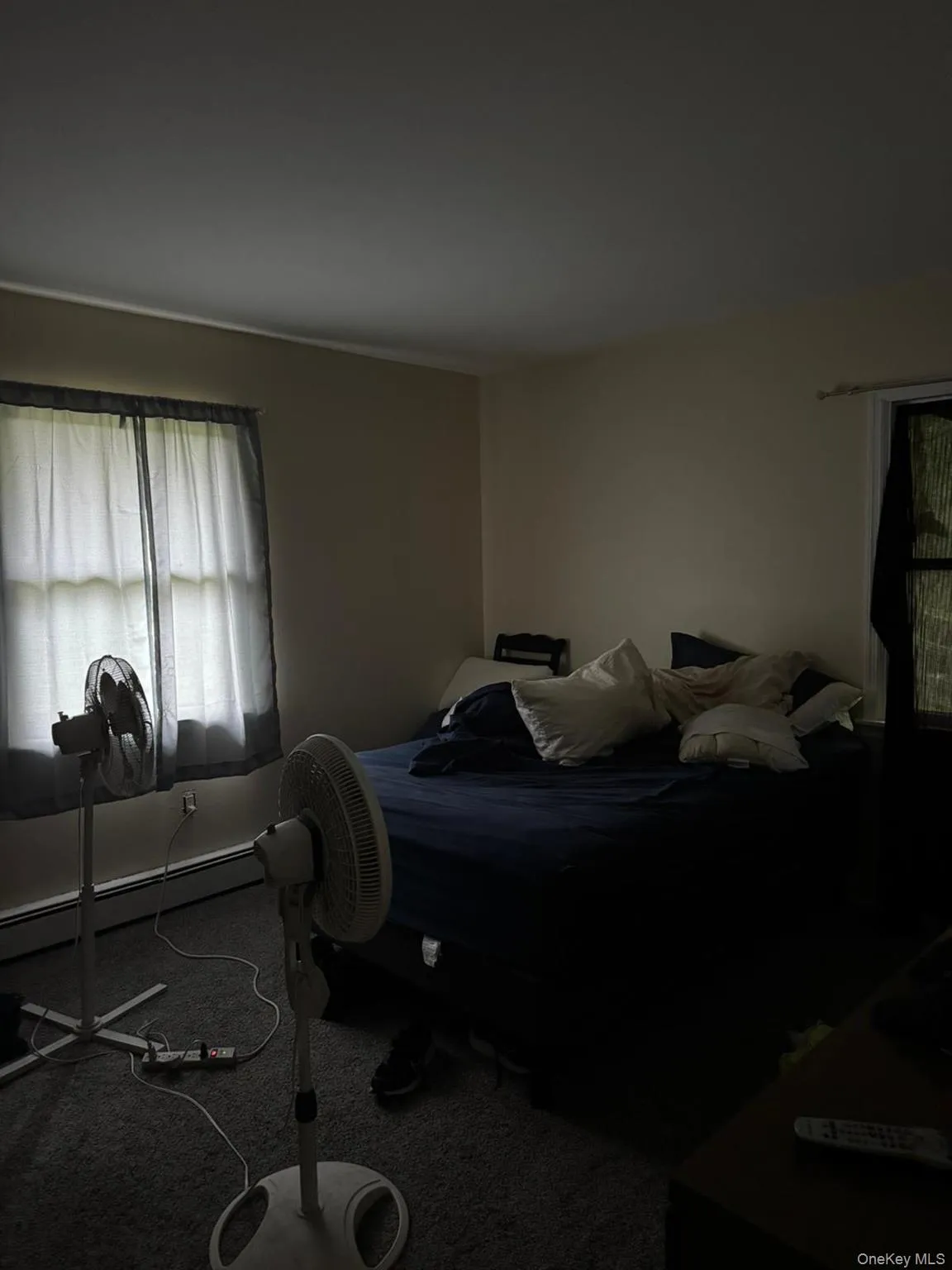 Bedroom featuring a baseboard heating unit and carpet flooring Bedroom featuring a baseboard heating unit and carpet flooring