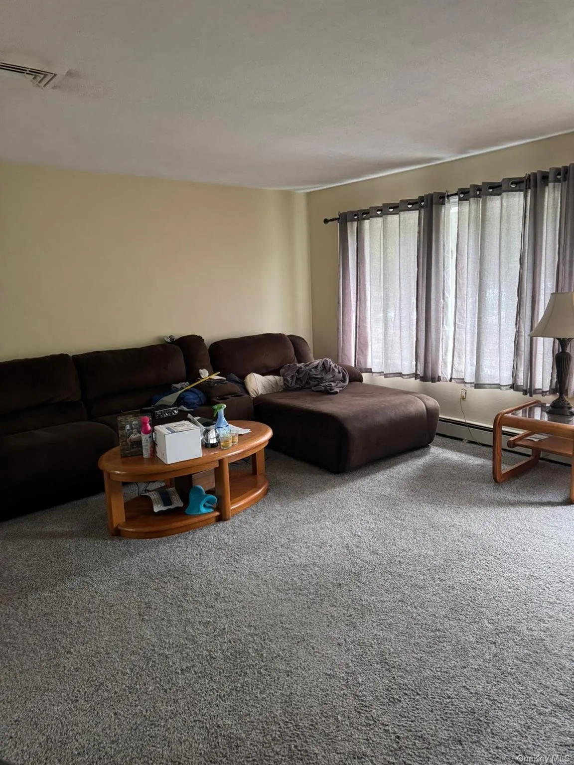 Carpeted living room featuring a baseboard radiator Carpeted living room featuring a baseboard radiator