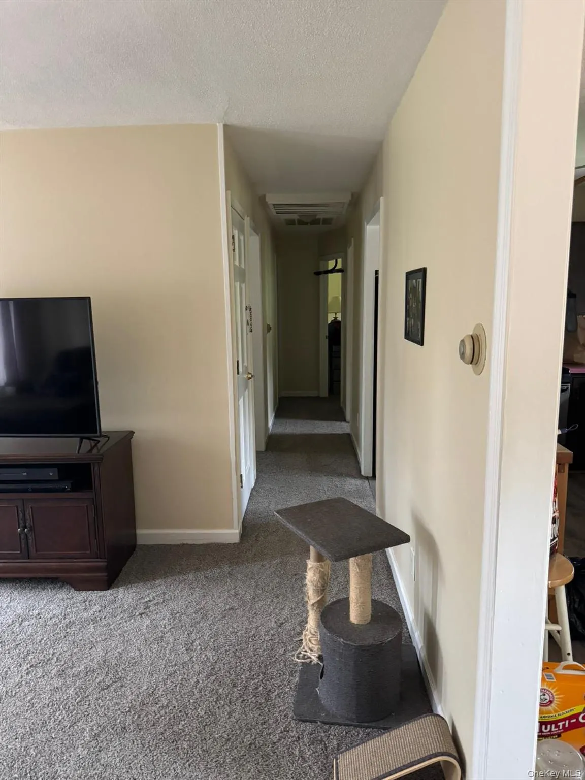 Hall featuring a textured ceiling and carpet floors Hall featuring a textured ceiling and carpet floors