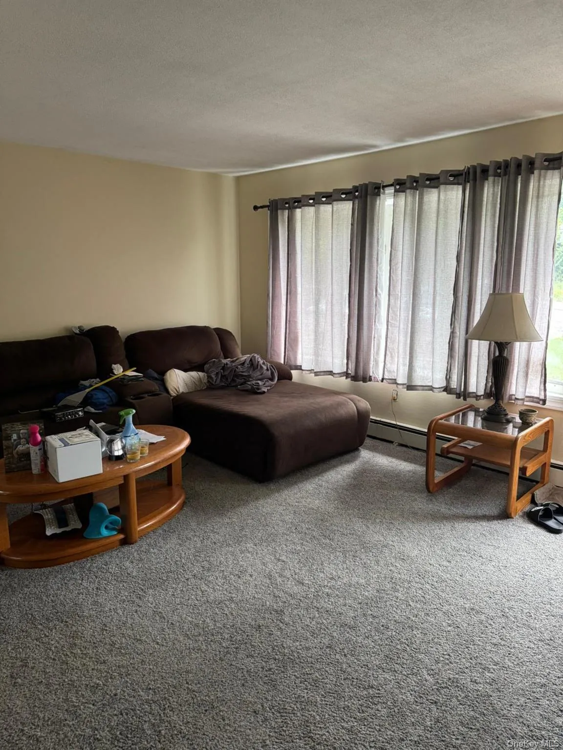 Living area featuring carpet flooring and a textured ceiling Living area featuring carpet flooring and a textured ceiling