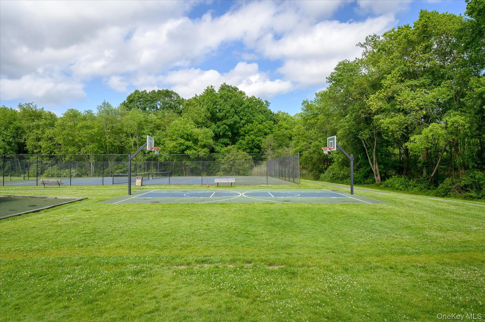 Basketball Court Basketball Court