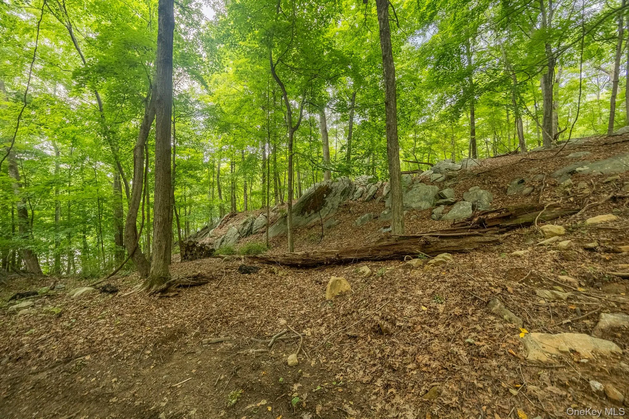 47 Rock Road, Carmel, NY, ,Land,For Rent,Rock,0,1037855 47 Rock Road, Carmel, NY, ,Land,For Rent,Rock,0,1037855
