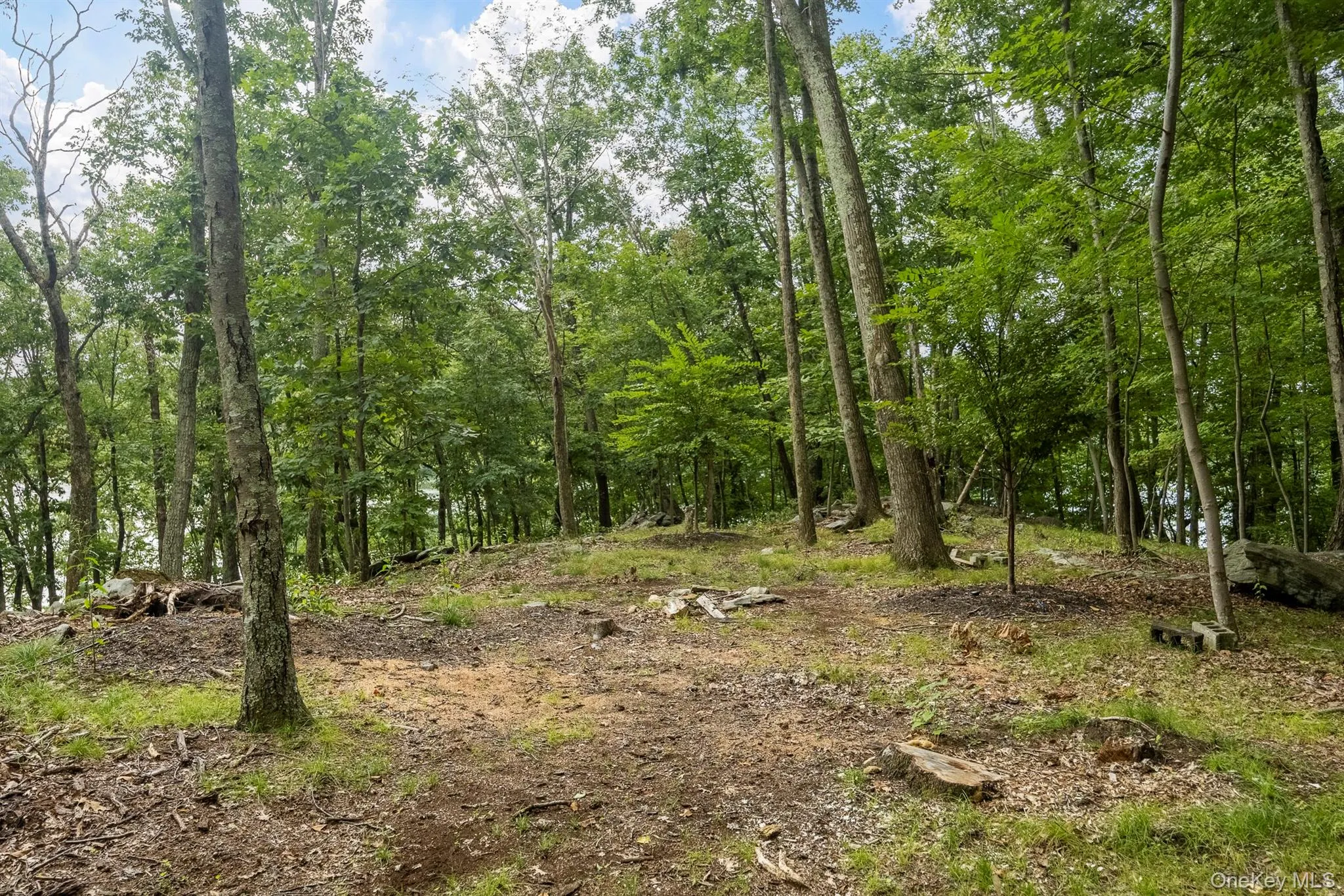 47 Rock Road, Carmel, NY, ,Land,For Rent,Rock,0,1037855 47 Rock Road, Carmel, NY, ,Land,For Rent,Rock,0,1037855