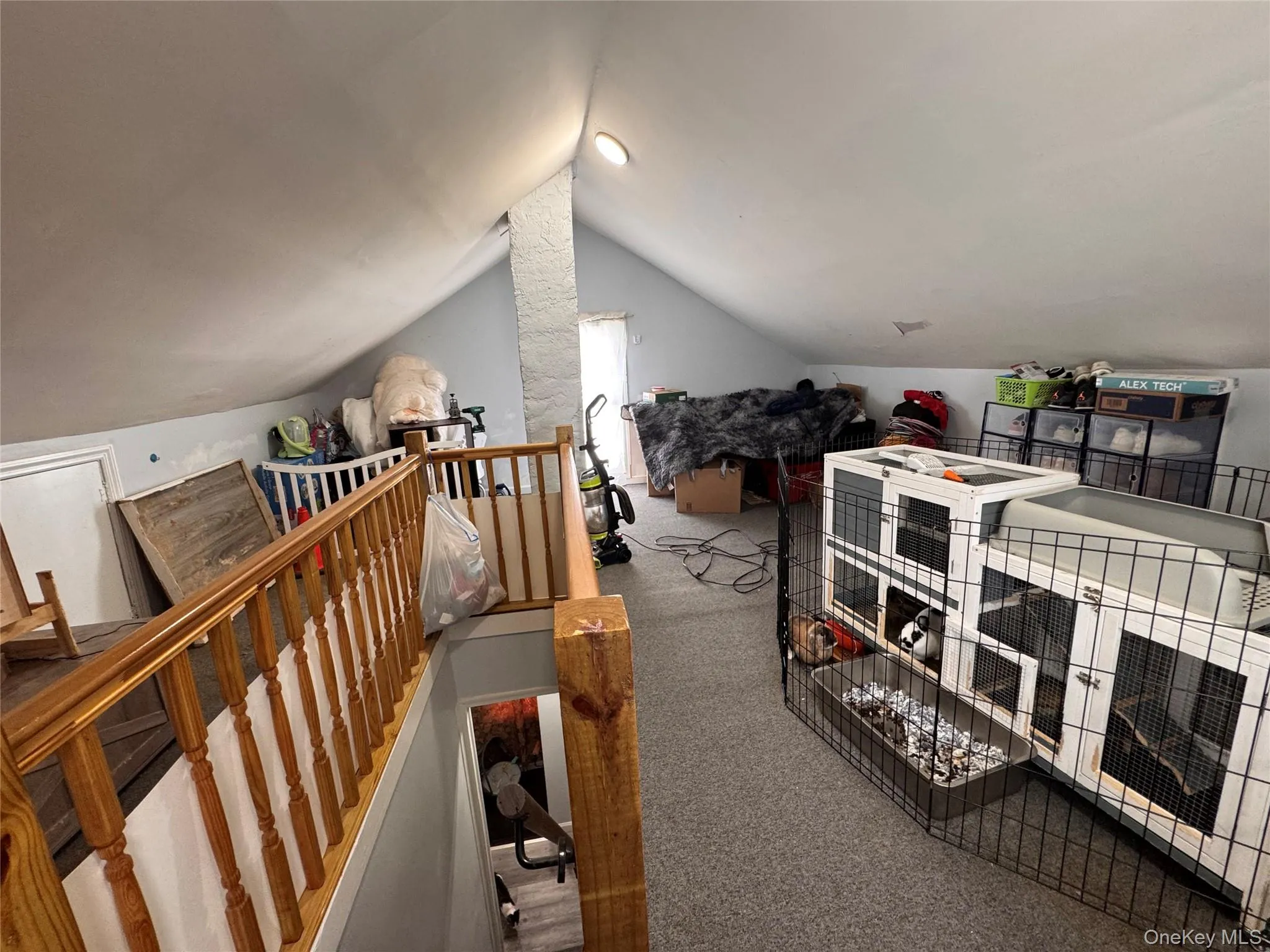 116-16 167th Street, New York, NY, 4 Bedrooms Bedrooms, 8 Rooms Rooms,2 BathroomsBathrooms,Residential,For Rent,167th,0,1037914 116-16 167th Street, New York, NY, 4 Bedrooms Bedrooms, 8 Rooms Rooms,2 BathroomsBathrooms,Residential,For Rent,167th,0,1037914