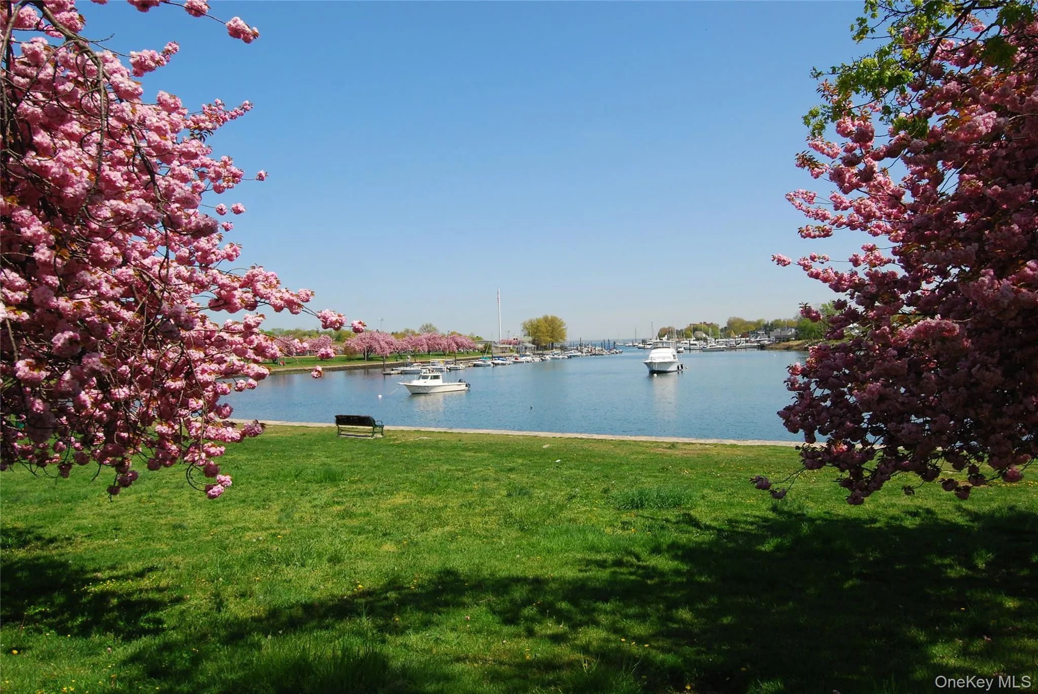 Enjoy Harbor Island Park! Enjoy Harbor Island Park!
