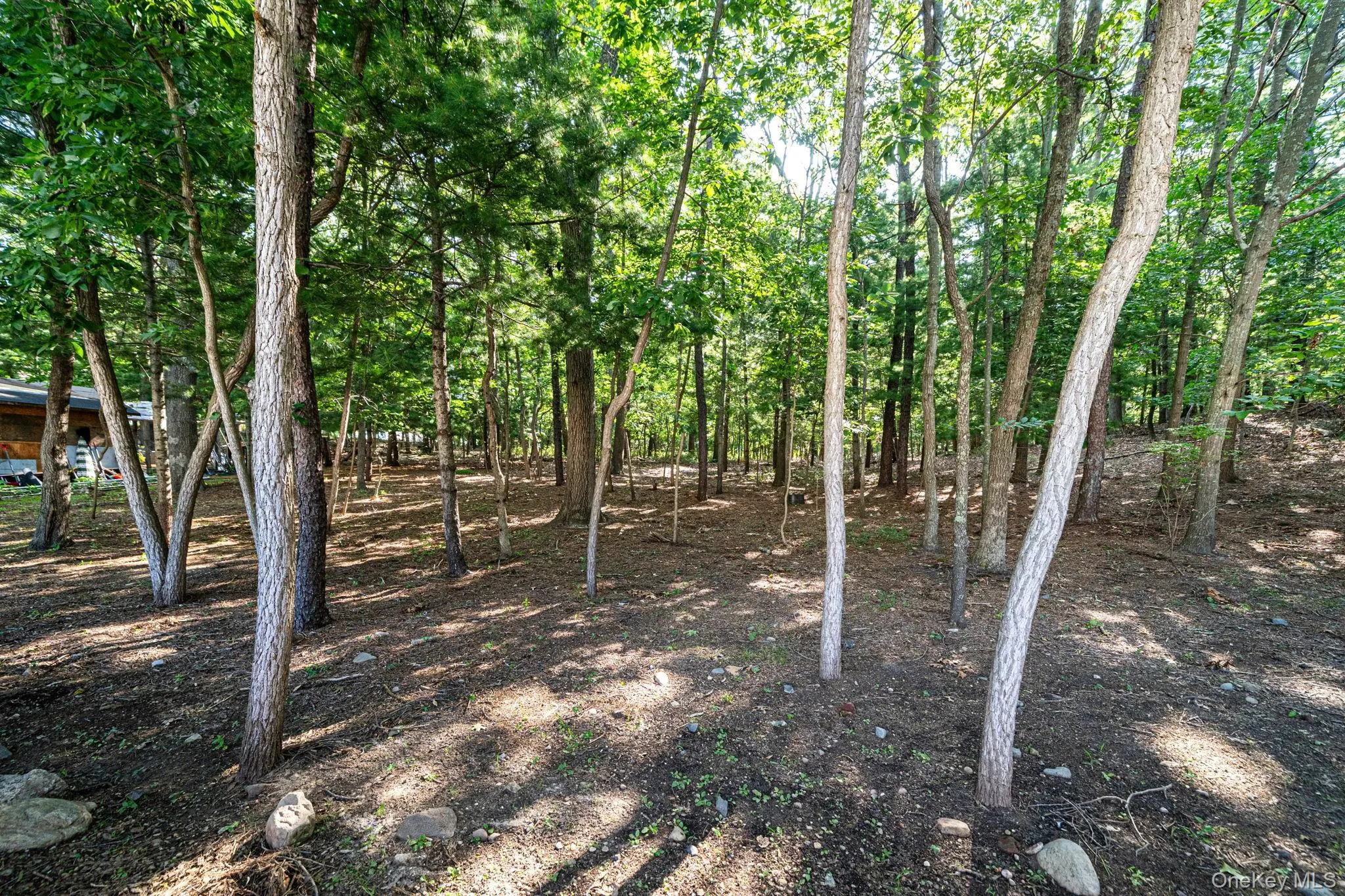 10 Cedar Lane, Brookhaven, NY, 4 Bedrooms Bedrooms, 8 Rooms Rooms,2 BathroomsBathrooms,Residential,For Rent,Cedar,0,1037959 10 Cedar Lane, Brookhaven, NY, 4 Bedrooms Bedrooms, 8 Rooms Rooms,2 BathroomsBathrooms,Residential,For Rent,Cedar,0,1037959