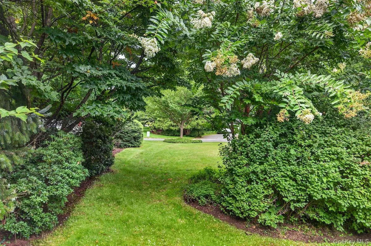 Side Yard Side Yard