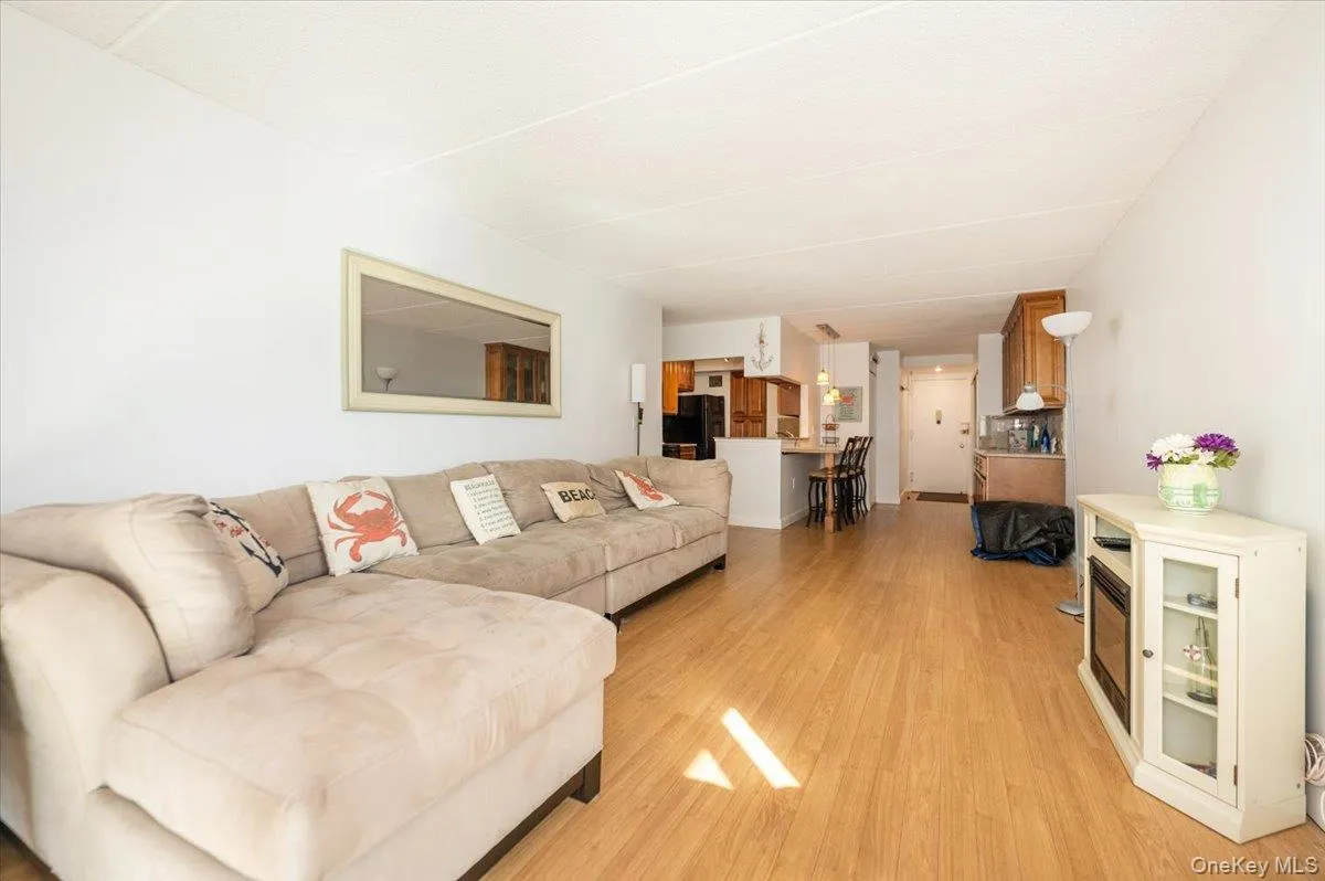 Living room with light wood-type flooring Living room with light wood-type flooring
