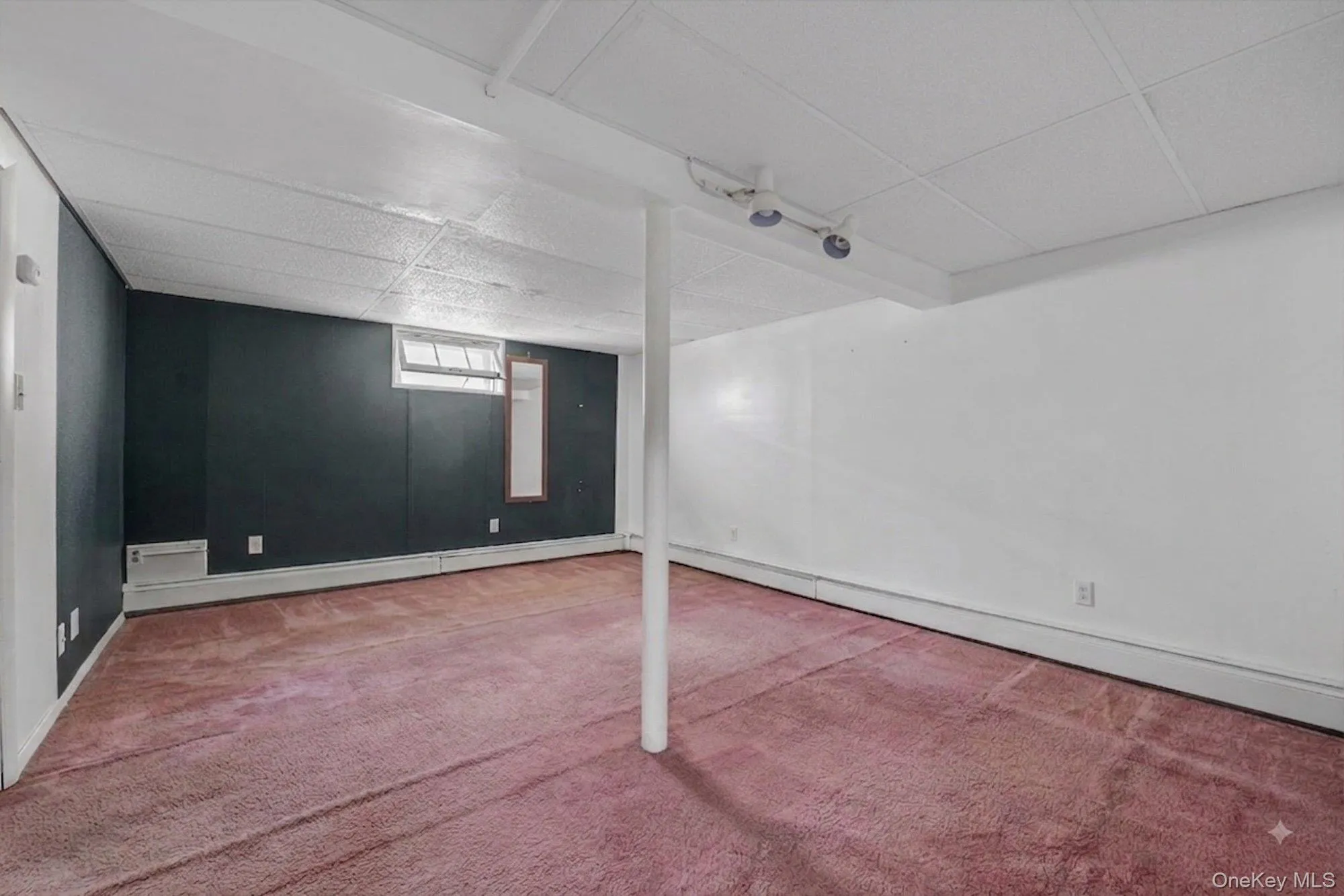 Basement - Virtually Emptied Basement - Virtually Emptied