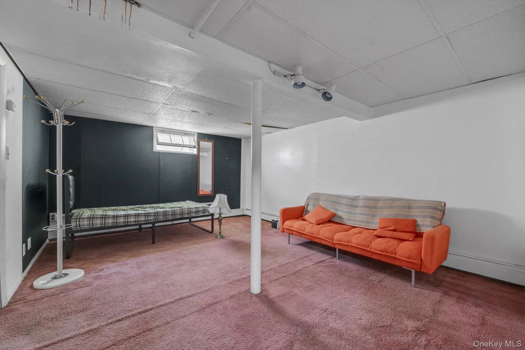 Basement - Virtually Emptied Basement - Virtually Emptied
