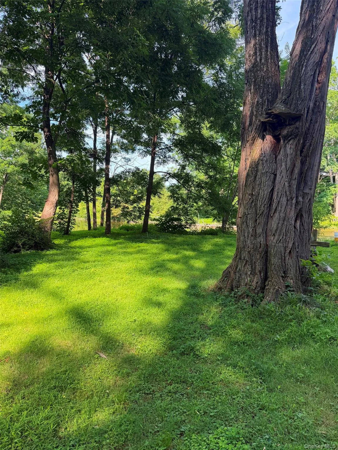 4 Wilbur Road, Pleasant Valley, NY, 2 Bedrooms Bedrooms, 5 Rooms Rooms,1 BathroomBathrooms,Residential,For Rent,Wilbur,0,1038005 4 Wilbur Road, Pleasant Valley, NY, 2 Bedrooms Bedrooms, 5 Rooms Rooms,1 BathroomBathrooms,Residential,For Rent,Wilbur,0,1038005