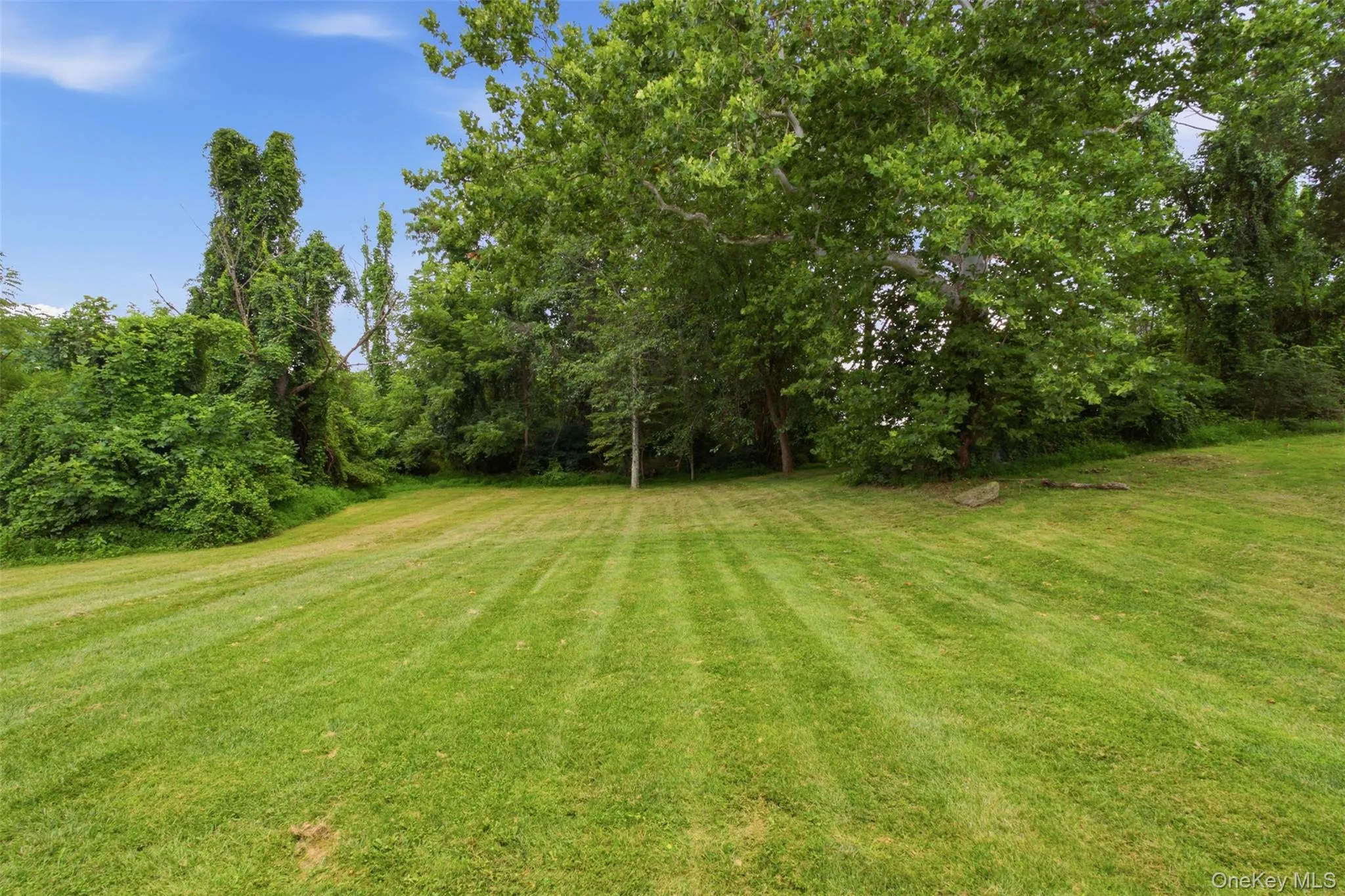 40 Winter Park Drive, Wappinger, NY, 4 Bedrooms Bedrooms, 12 Rooms Rooms,3 BathroomsBathrooms,Residential,For Rent,Winter Park,0,1038026 40 Winter Park Drive, Wappinger, NY, 4 Bedrooms Bedrooms, 12 Rooms Rooms,3 BathroomsBathrooms,Residential,For Rent,Winter Park,0,1038026