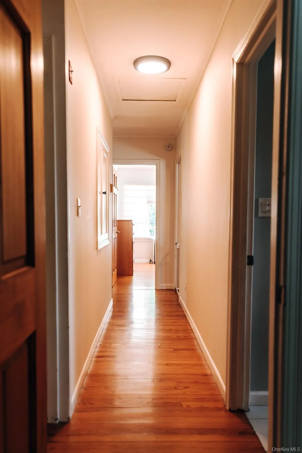 5 Clark Street, Poughkeepsie, NY, 3 Bedrooms Bedrooms, 6 Rooms Rooms,1 BathroomBathrooms,Residential,For Rent,Clark,0,1038029 5 Clark Street, Poughkeepsie, NY, 3 Bedrooms Bedrooms, 6 Rooms Rooms,1 BathroomBathrooms,Residential,For Rent,Clark,0,1038029