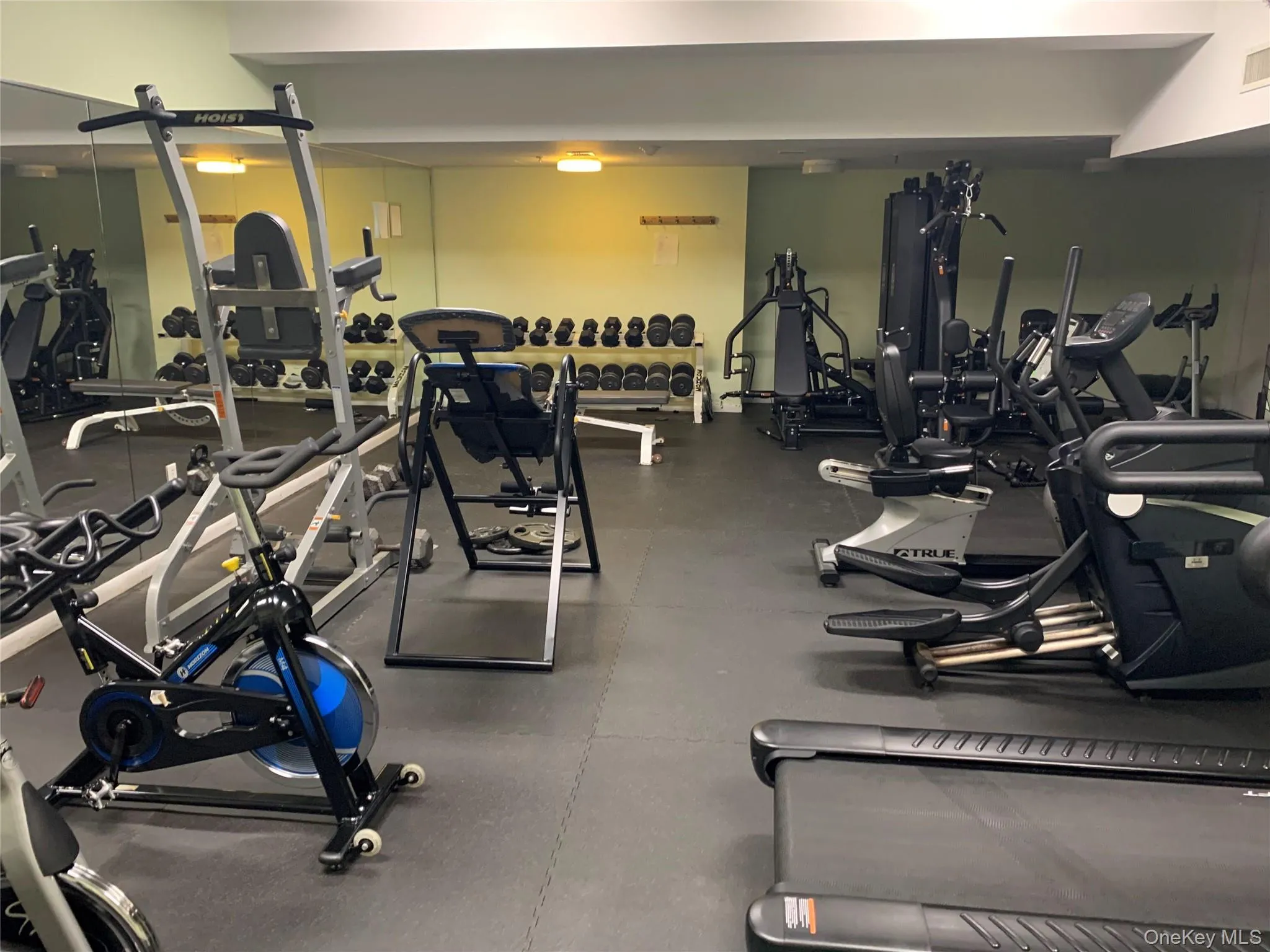 Gym Gym
