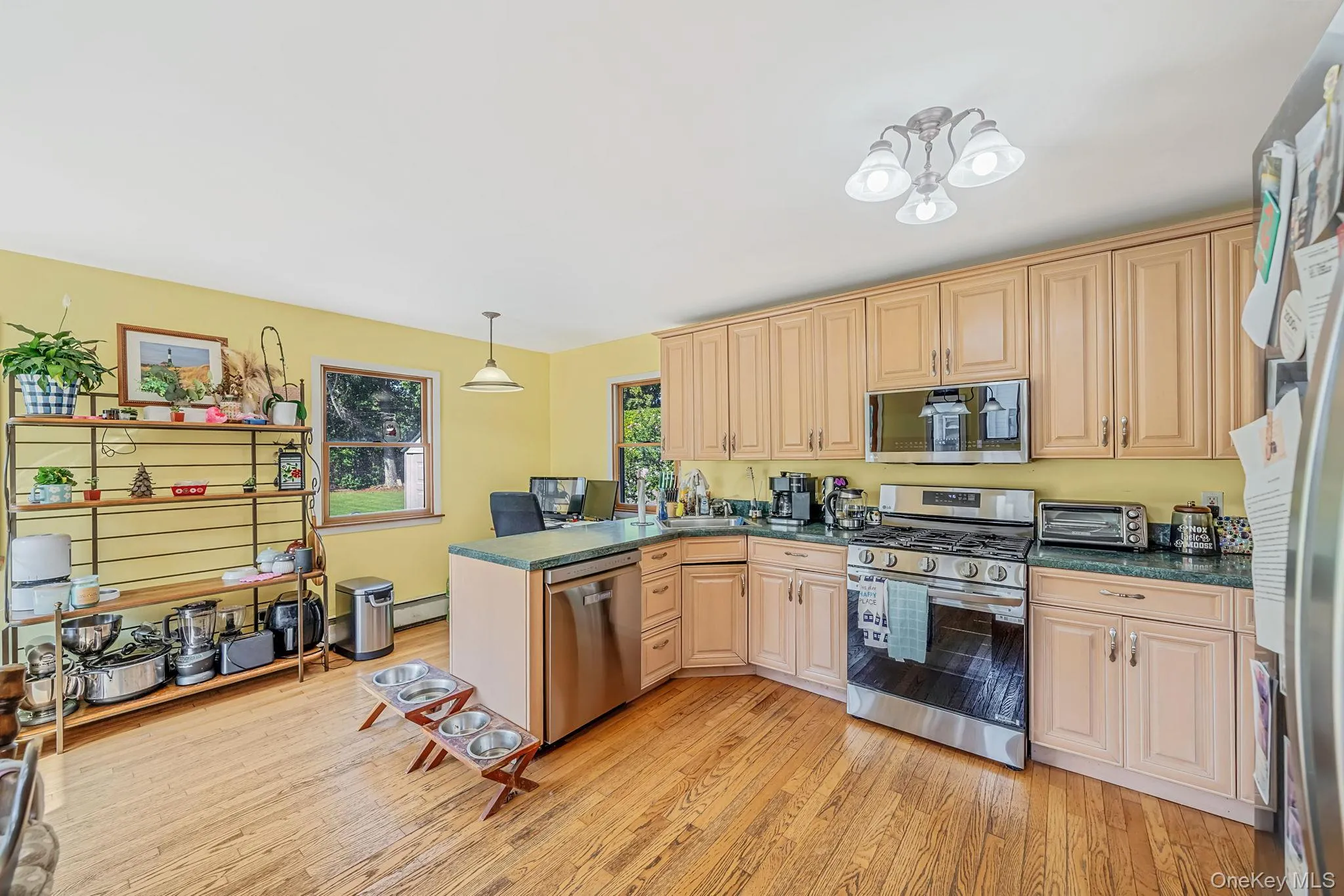 65 Sylvia Drive, Islip, NY, 5 Bedrooms Bedrooms, 8 Rooms Rooms,2 BathroomsBathrooms,Residential,For Rent,Sylvia,0,1038063 65 Sylvia Drive, Islip, NY, 5 Bedrooms Bedrooms, 8 Rooms Rooms,2 BathroomsBathrooms,Residential,For Rent,Sylvia,0,1038063