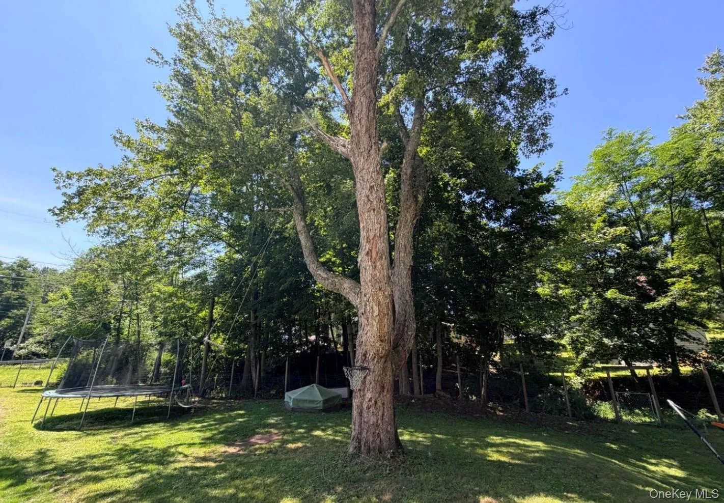 317 Chestnut Street, Liberty, NY, 4 Bedrooms Bedrooms, 7 Rooms Rooms,1 BathroomBathrooms,Residential,For Rent,Chestnut,0,1038064 317 Chestnut Street, Liberty, NY, 4 Bedrooms Bedrooms, 7 Rooms Rooms,1 BathroomBathrooms,Residential,For Rent,Chestnut,0,1038064